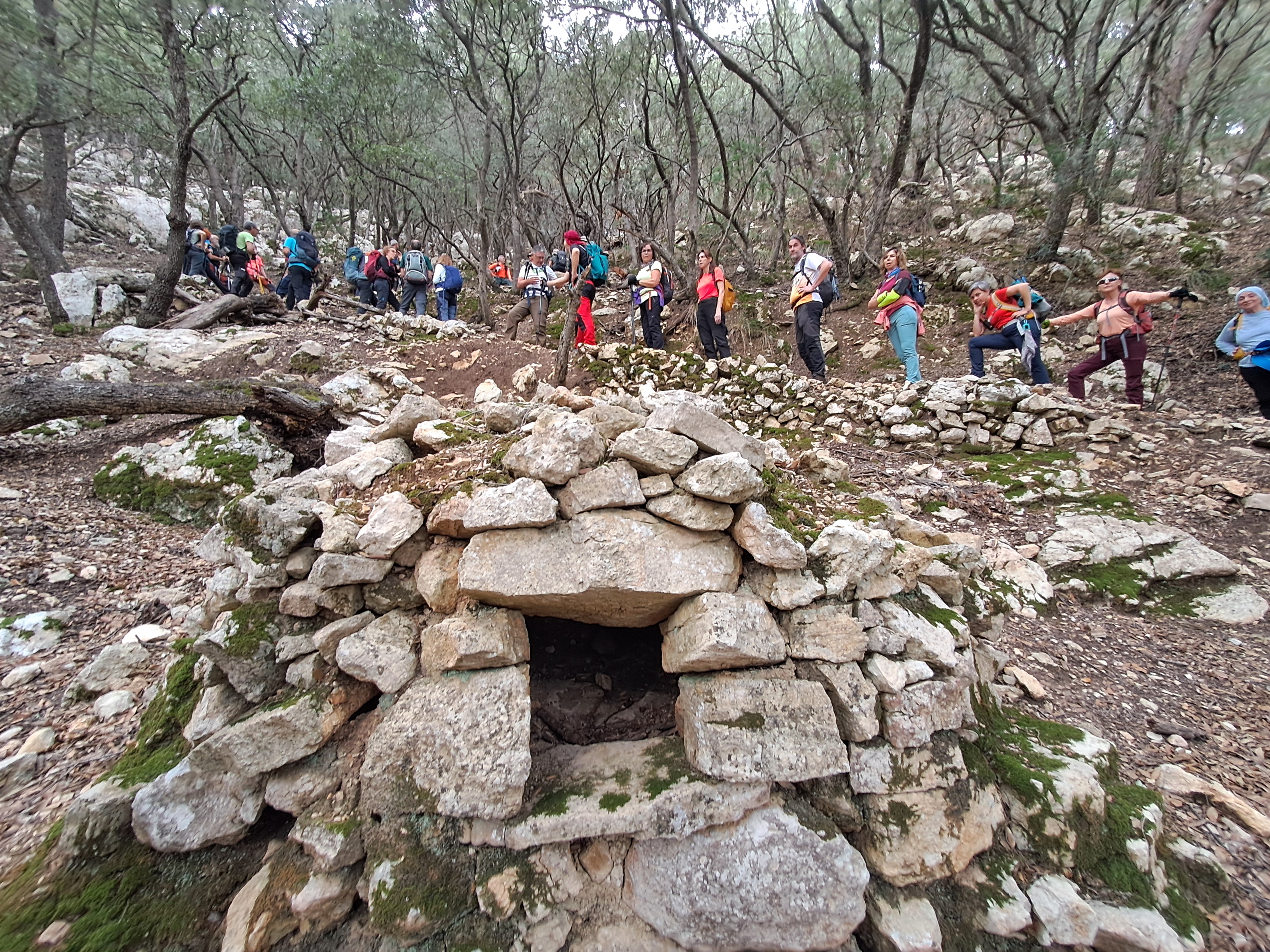 Imatge per al bloc 7