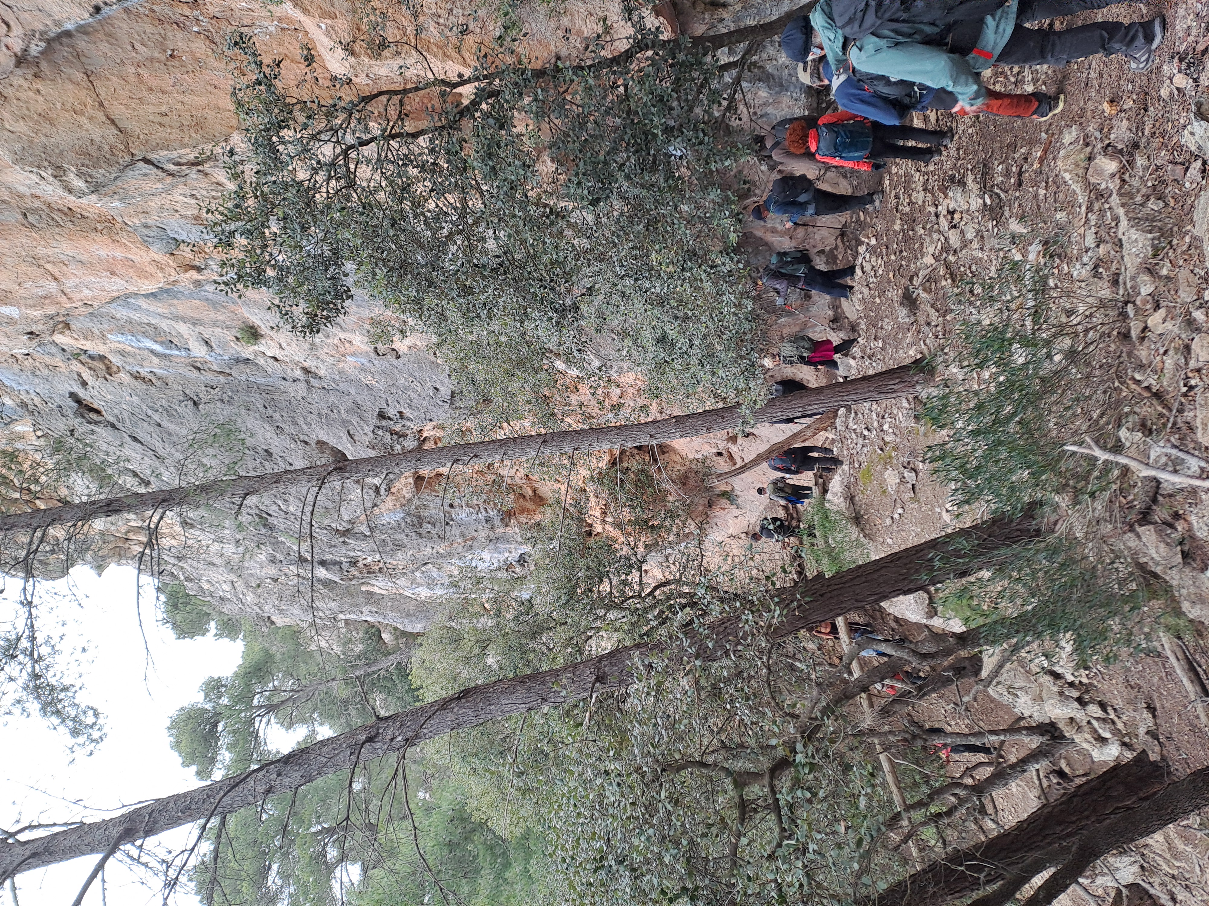 Imatge per al bloc 11