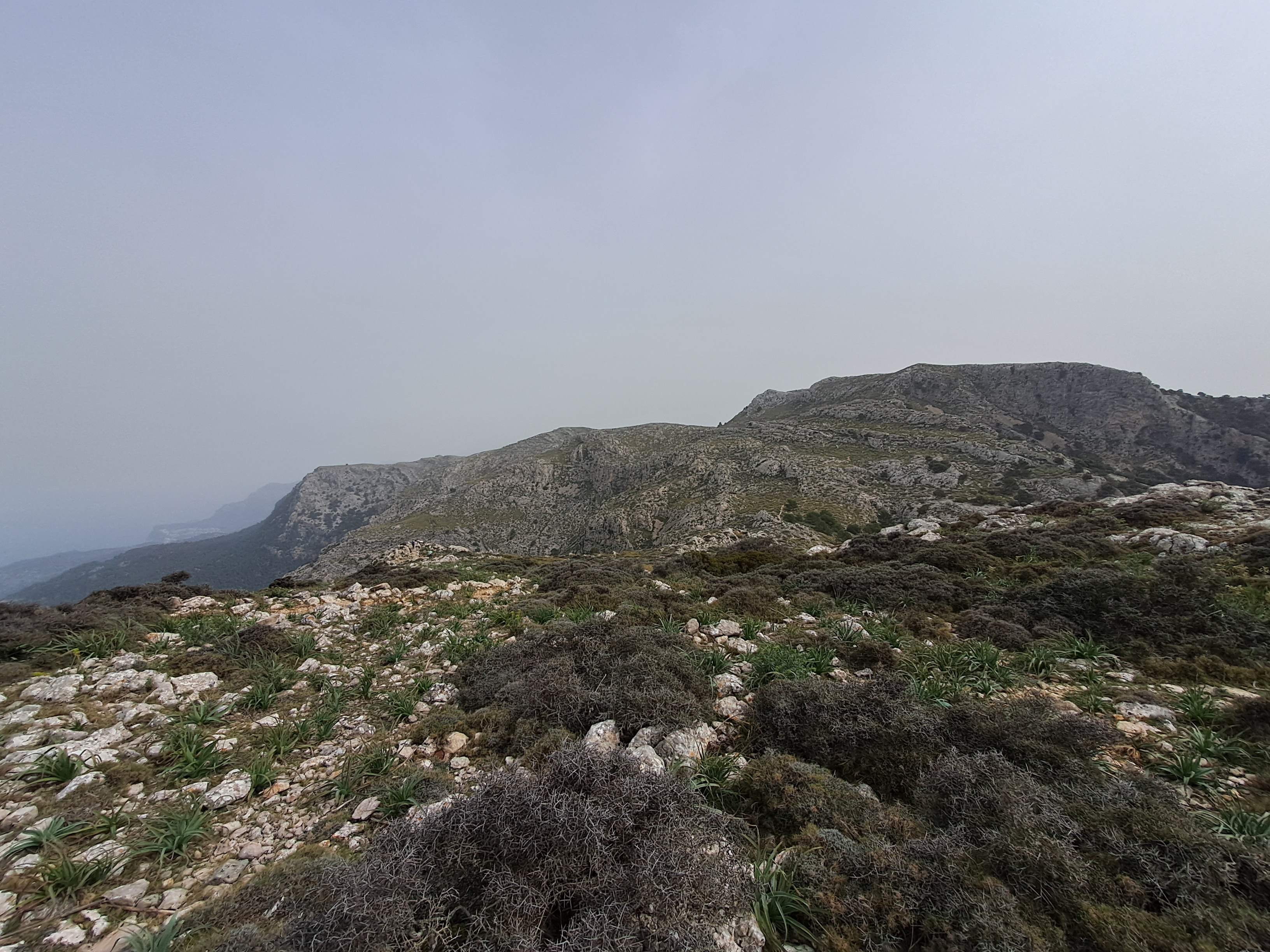 Imatge per al bloc 2