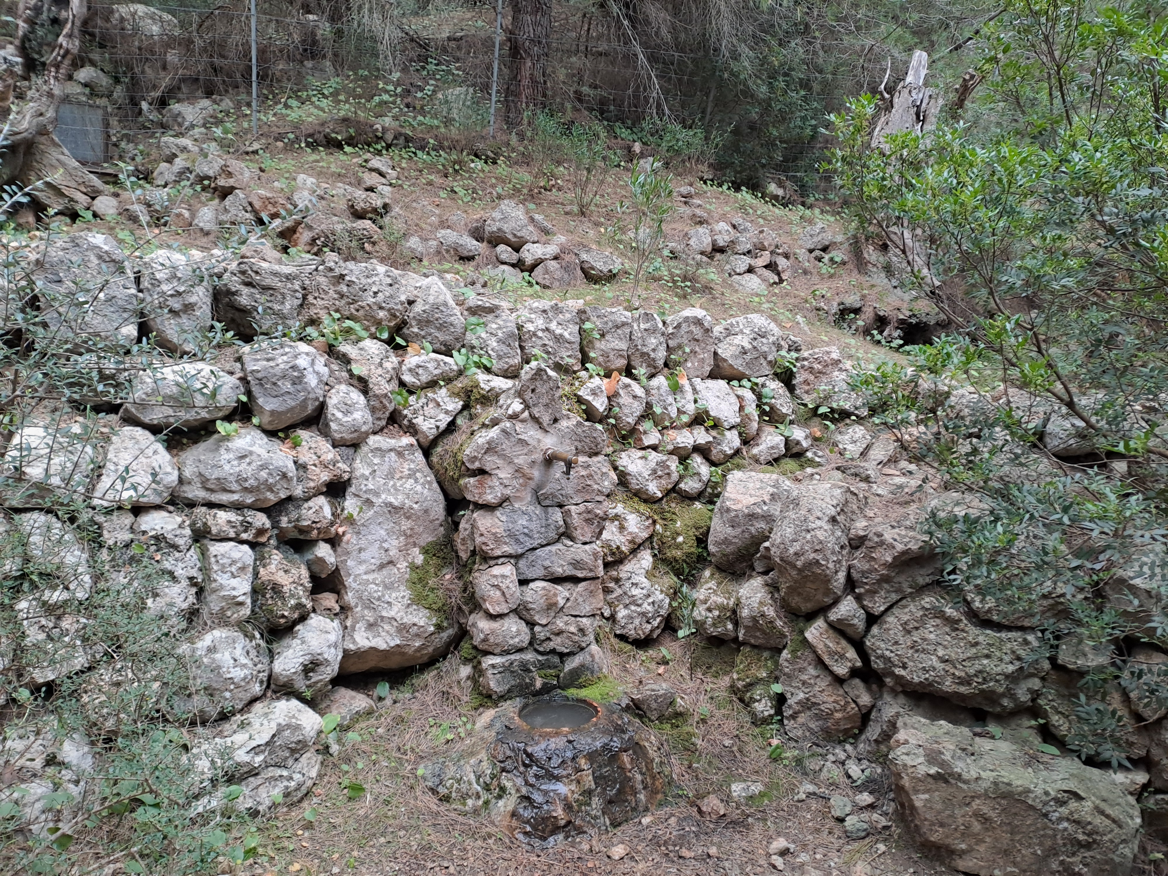 Imatge afegida al final