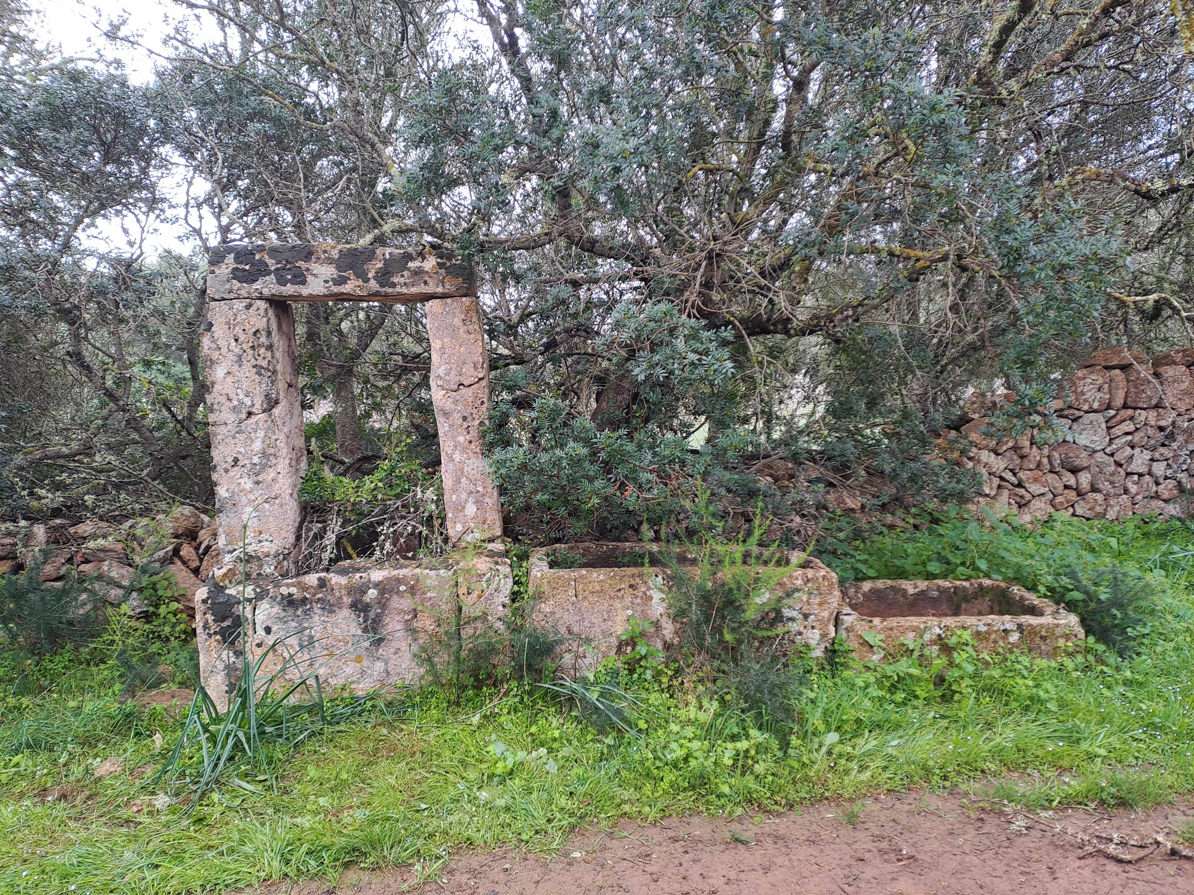 Imatge per al bloc 4