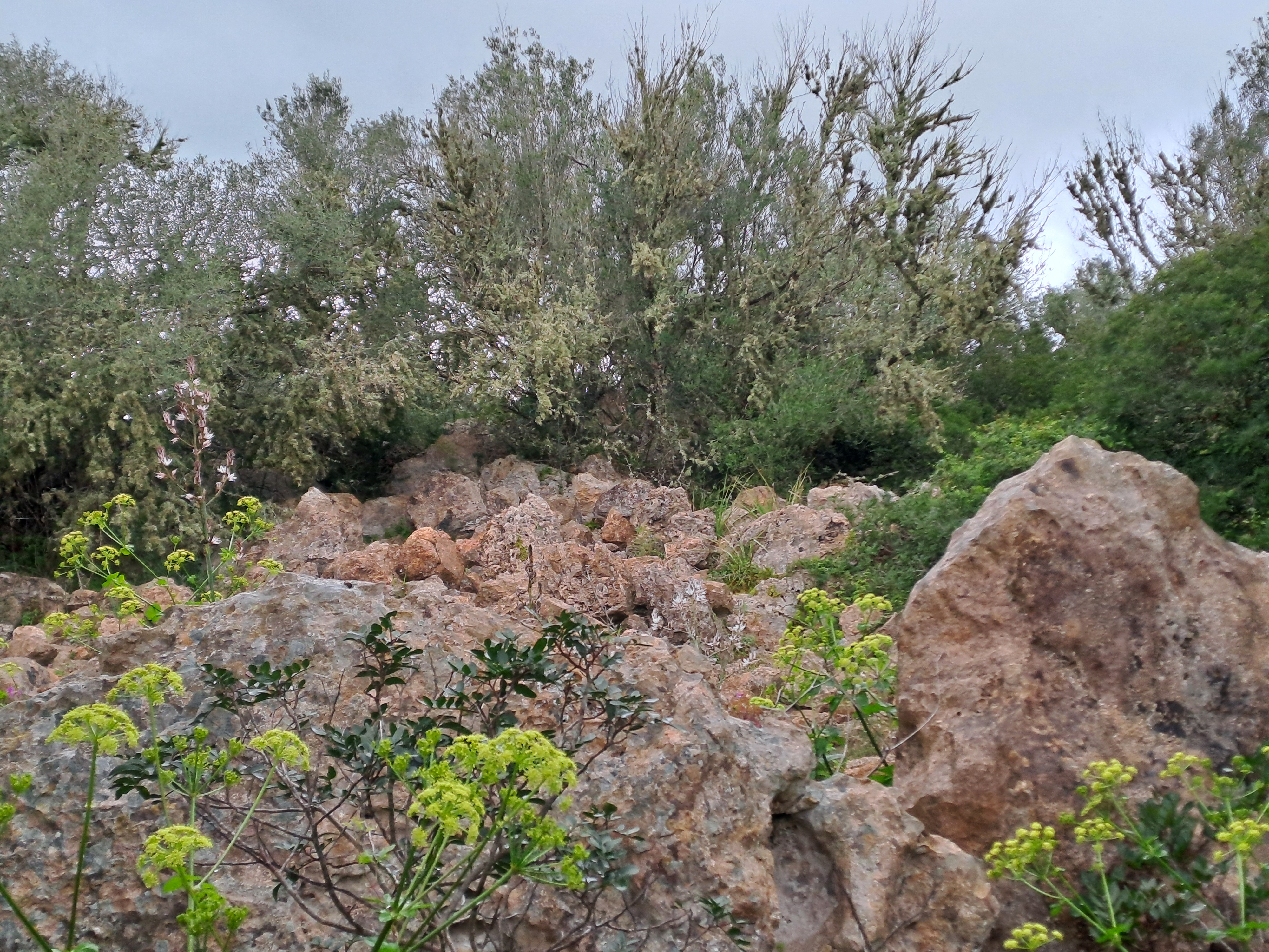 Imatge per al bloc 8