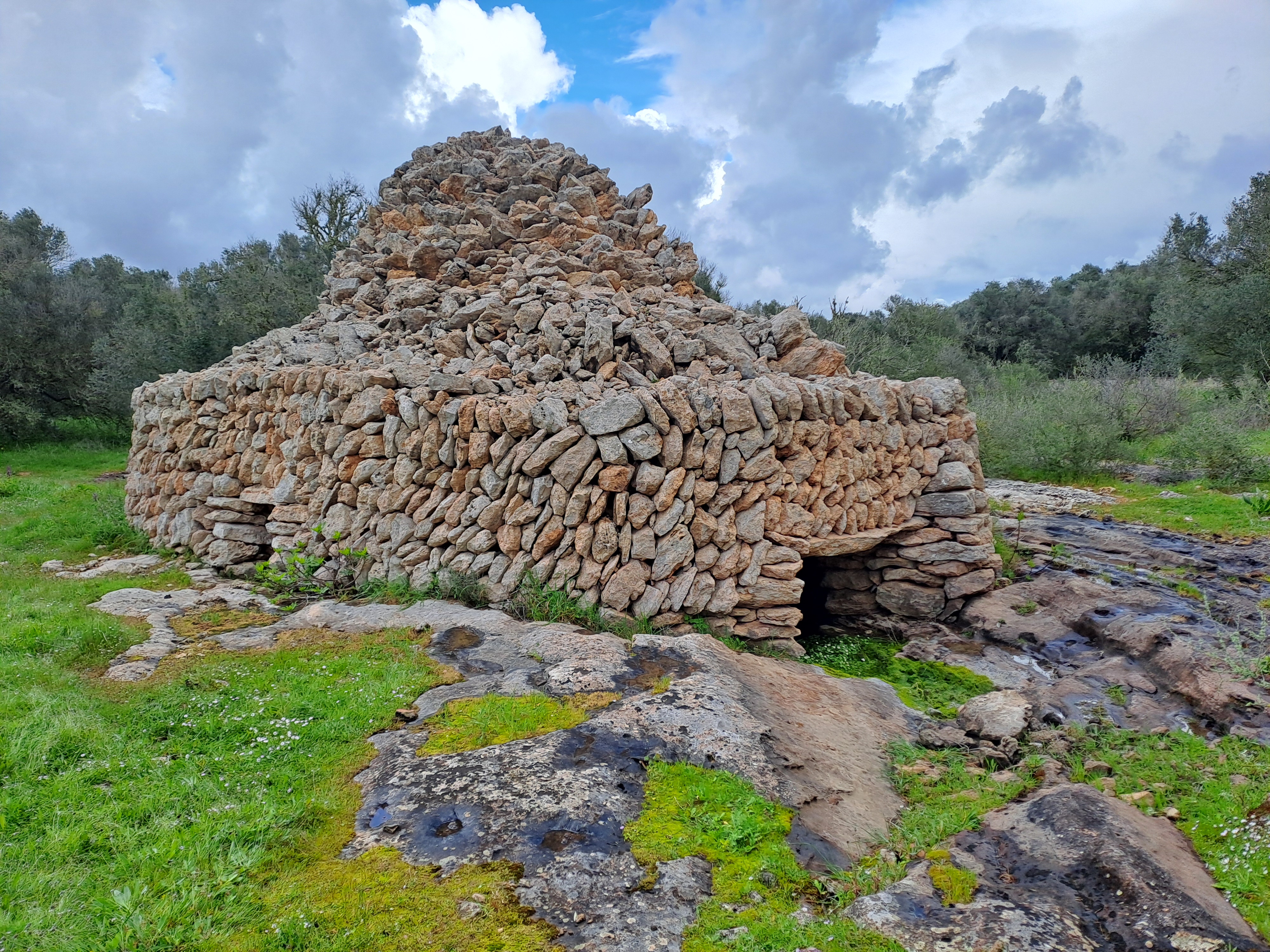 Imatge per al bloc 31