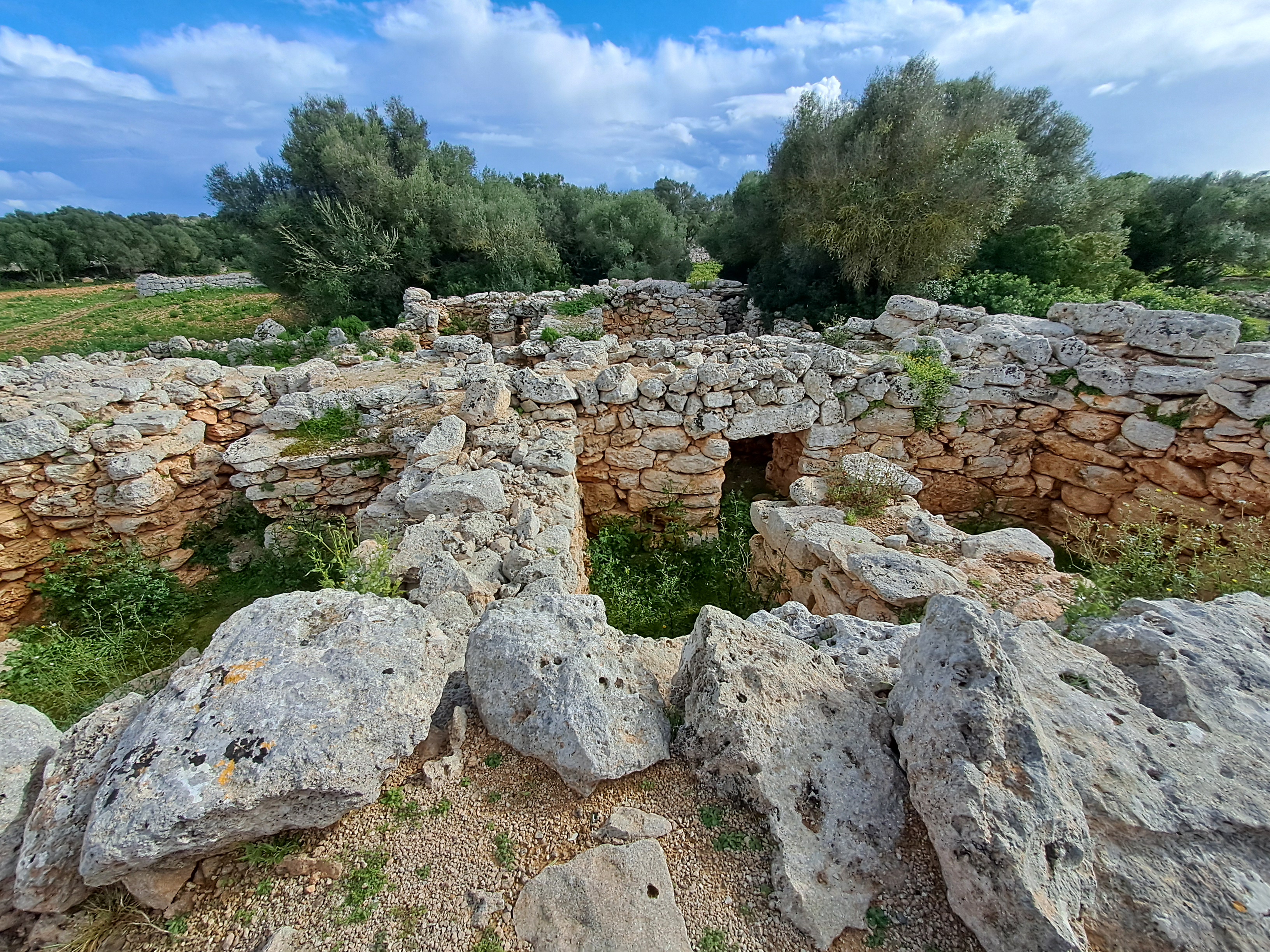 Imatge per al bloc 73