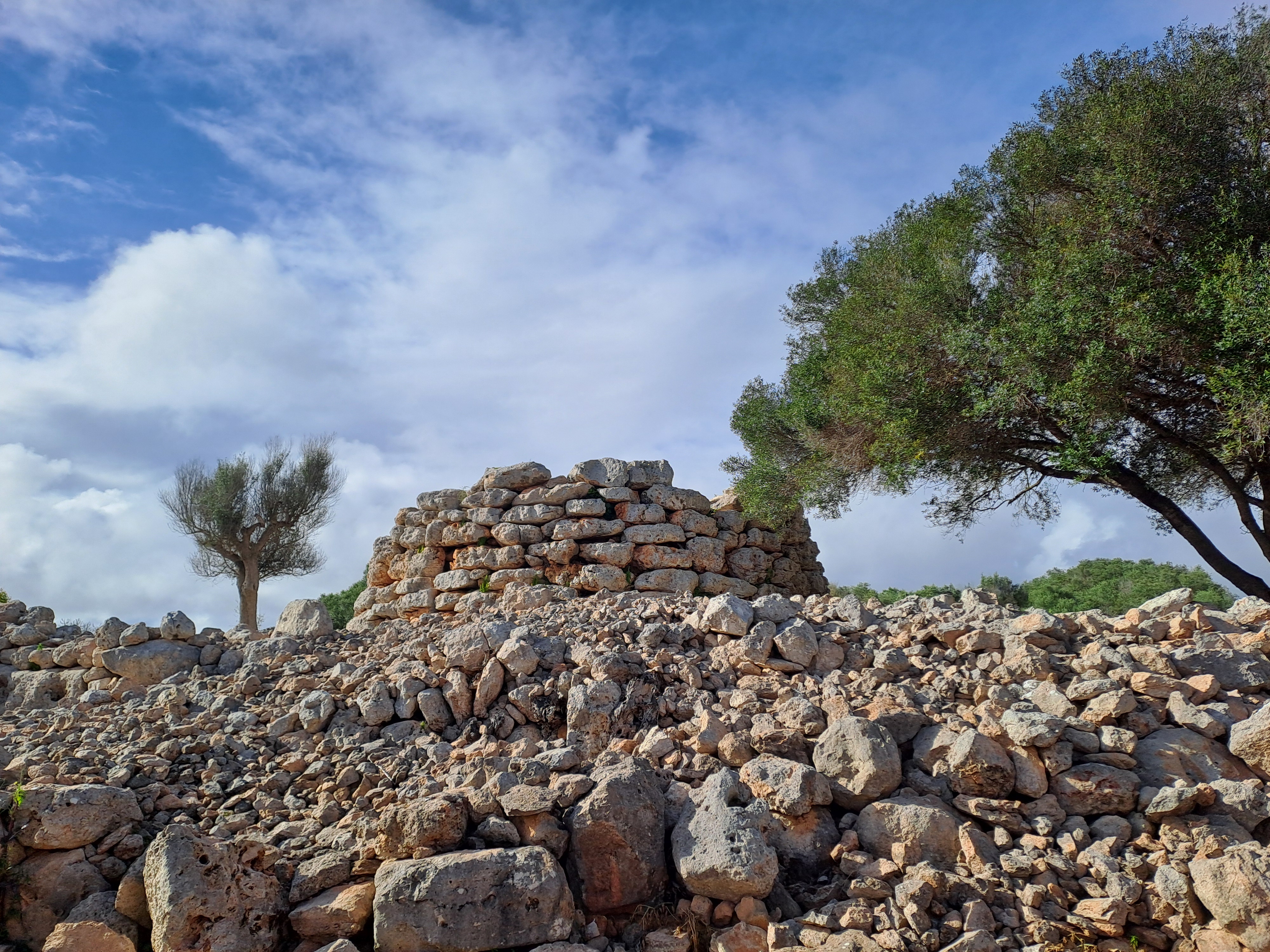 Imatge per al bloc 68