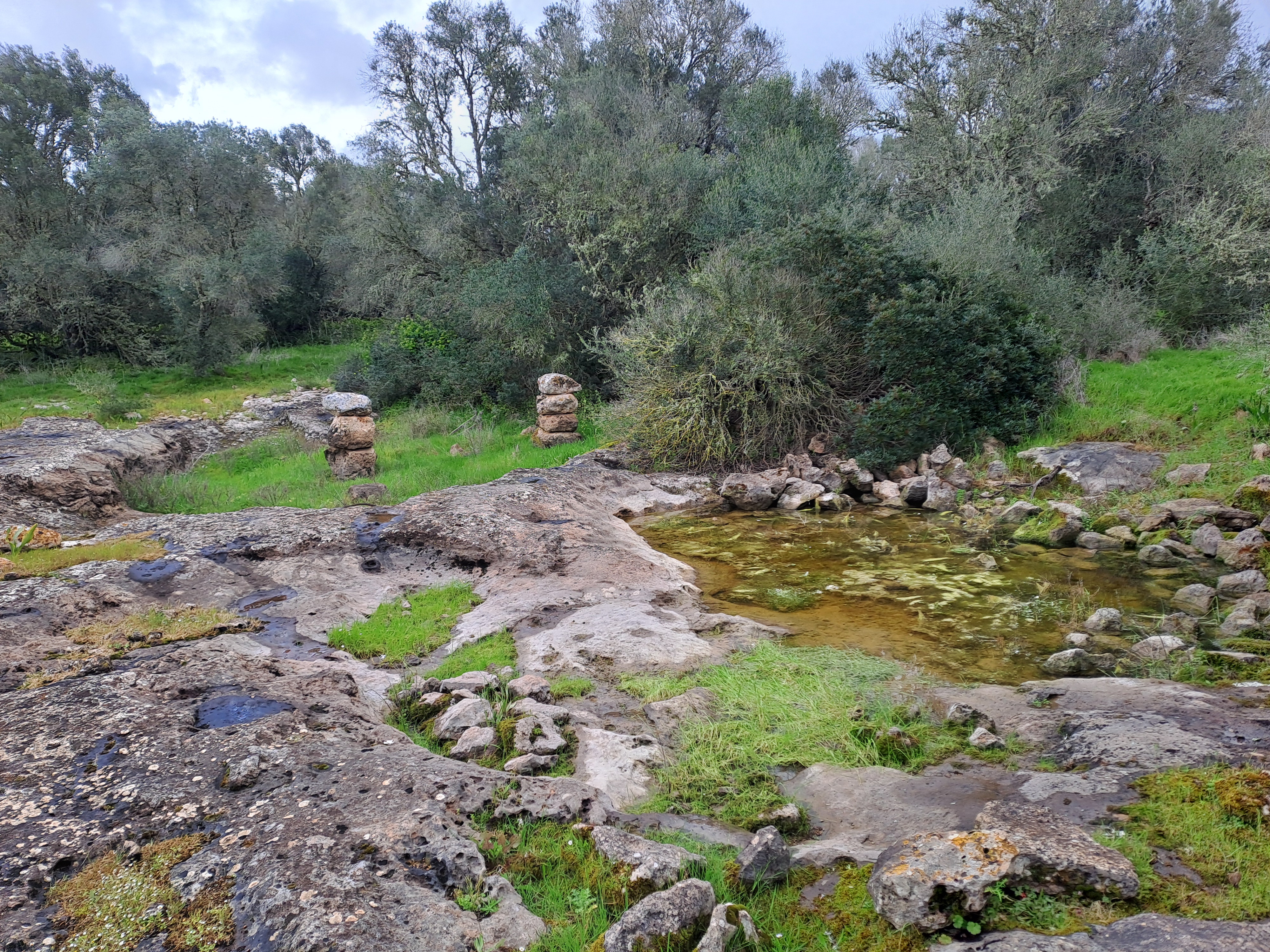 Imatge per al bloc 61