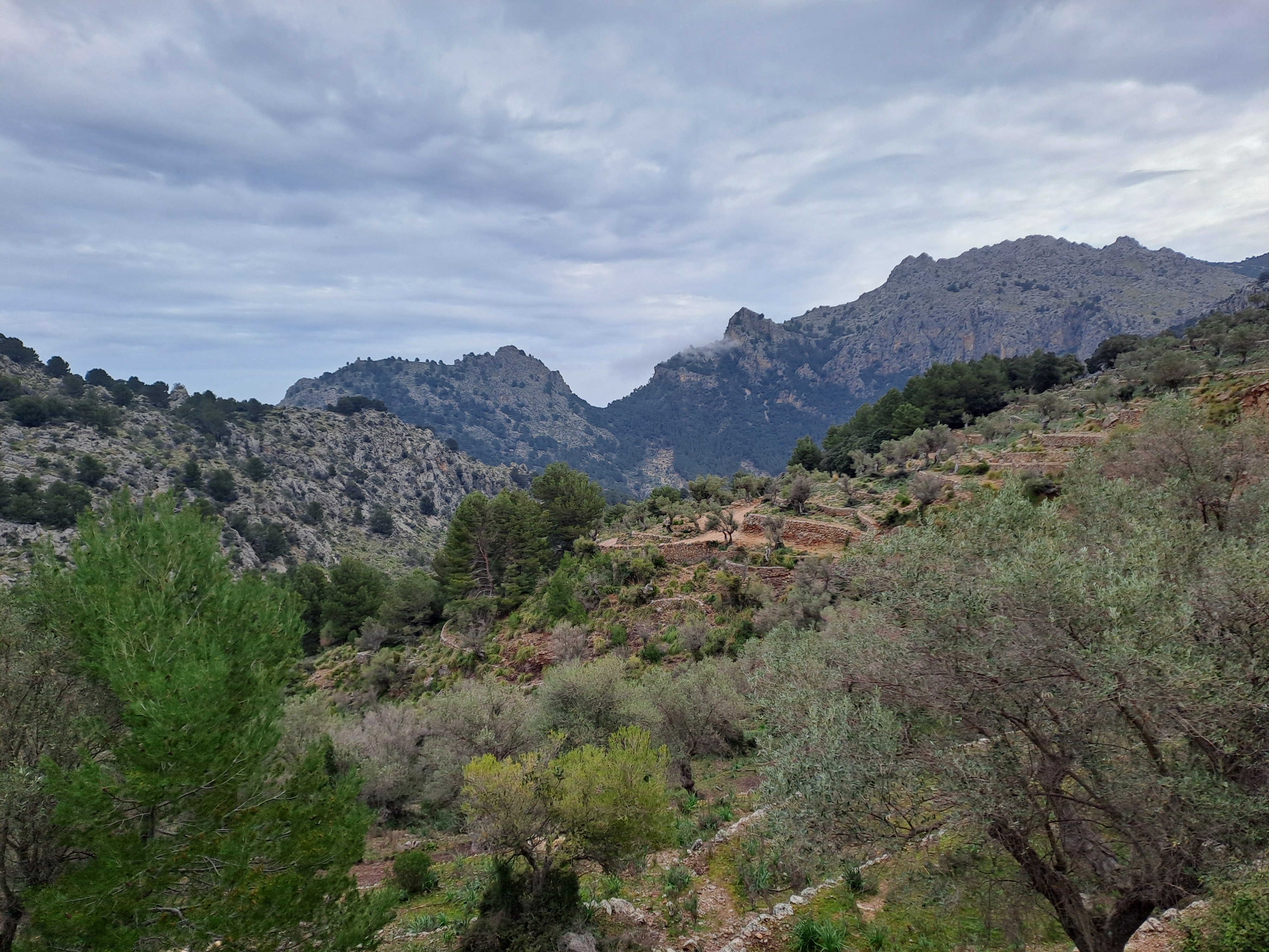 Imatge per al bloc 25