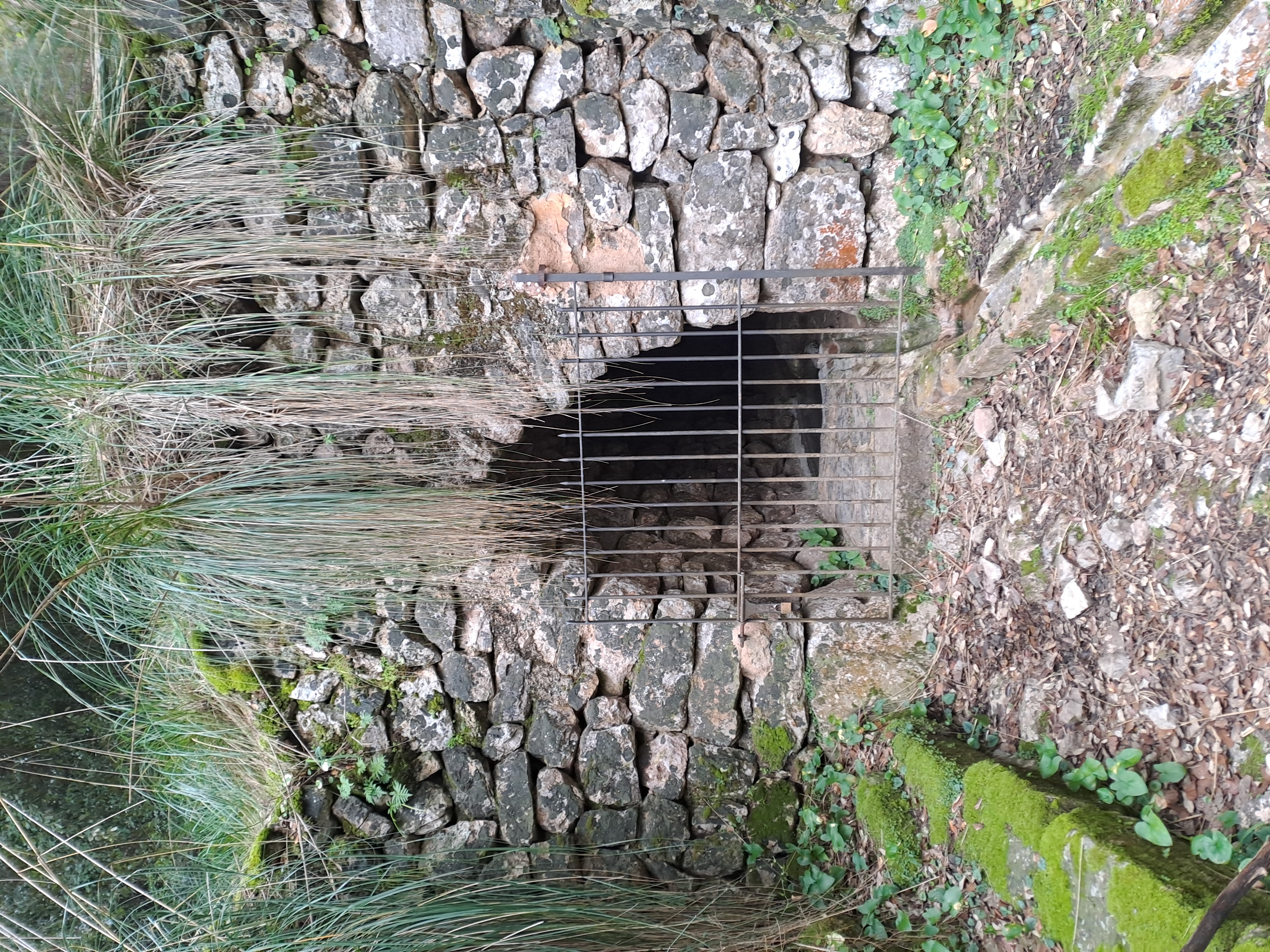 Imatge per al bloc 42