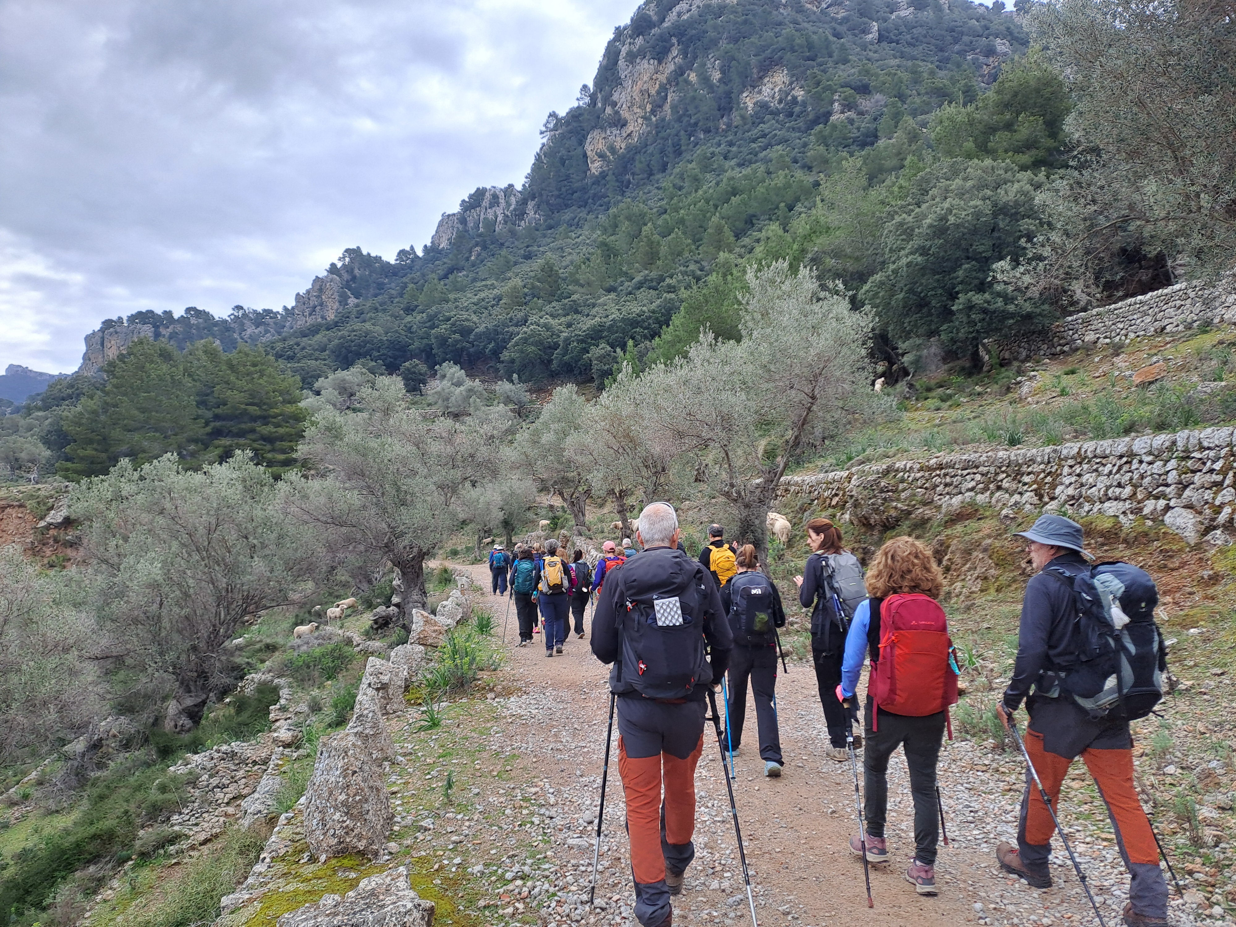 Imatge per al bloc 21