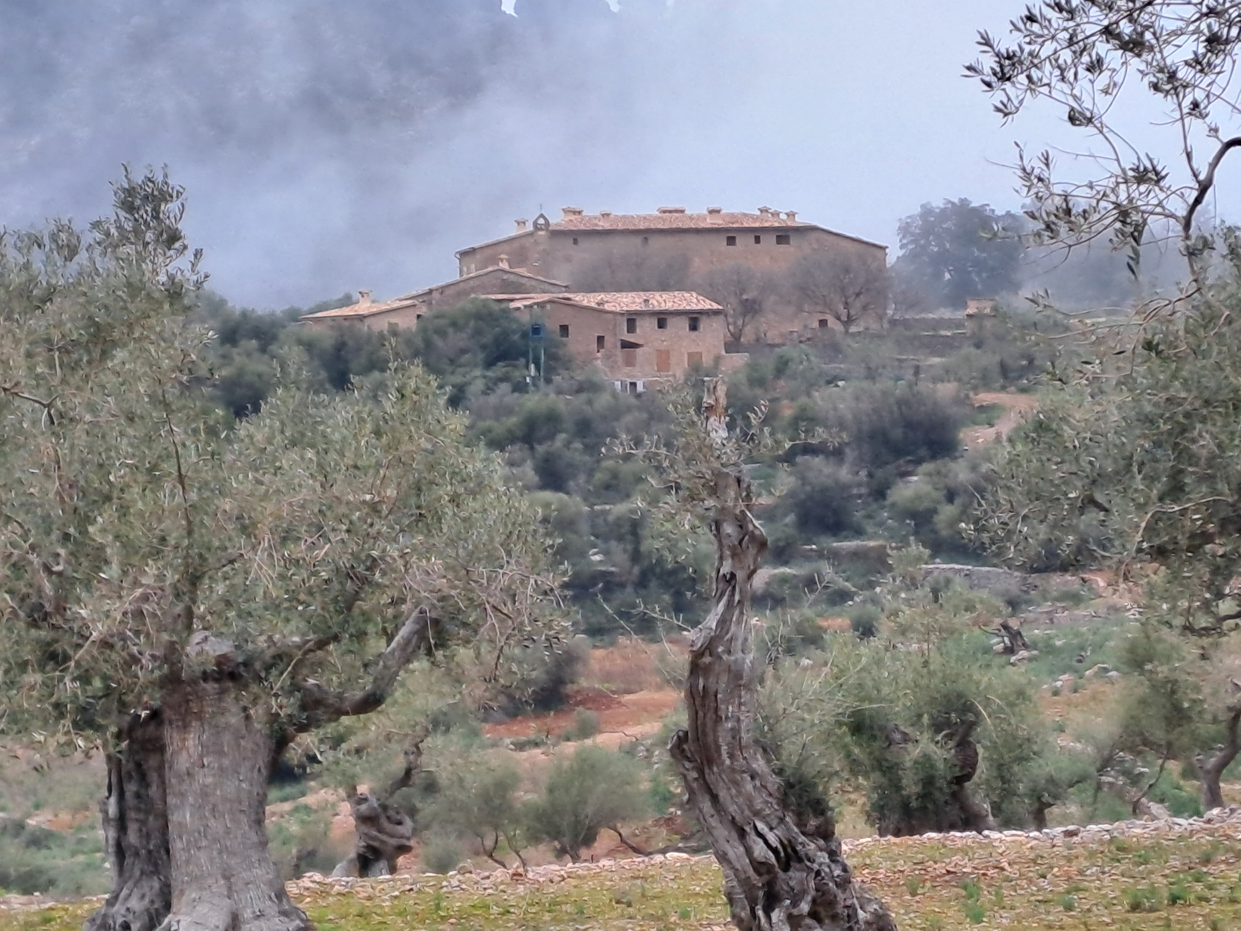 Imatge per al bloc 11