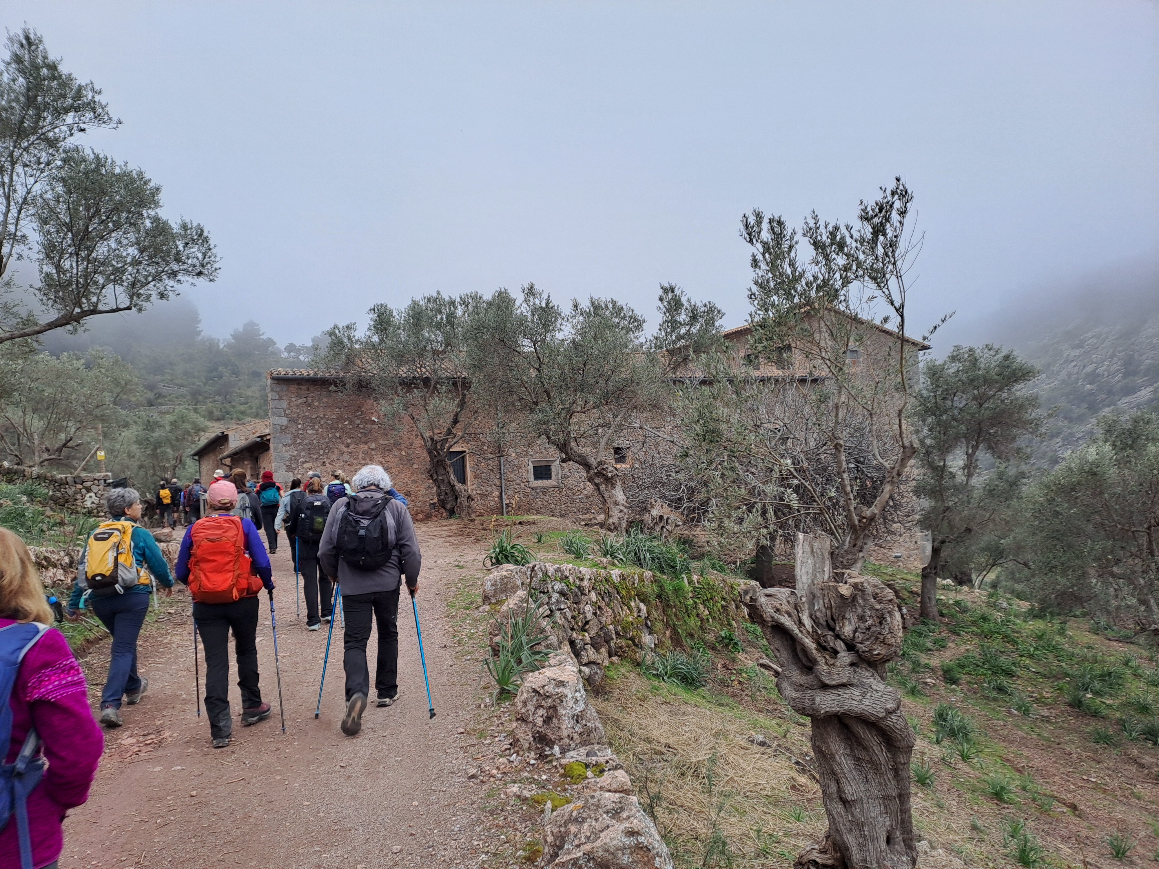 Imatge per al bloc 18