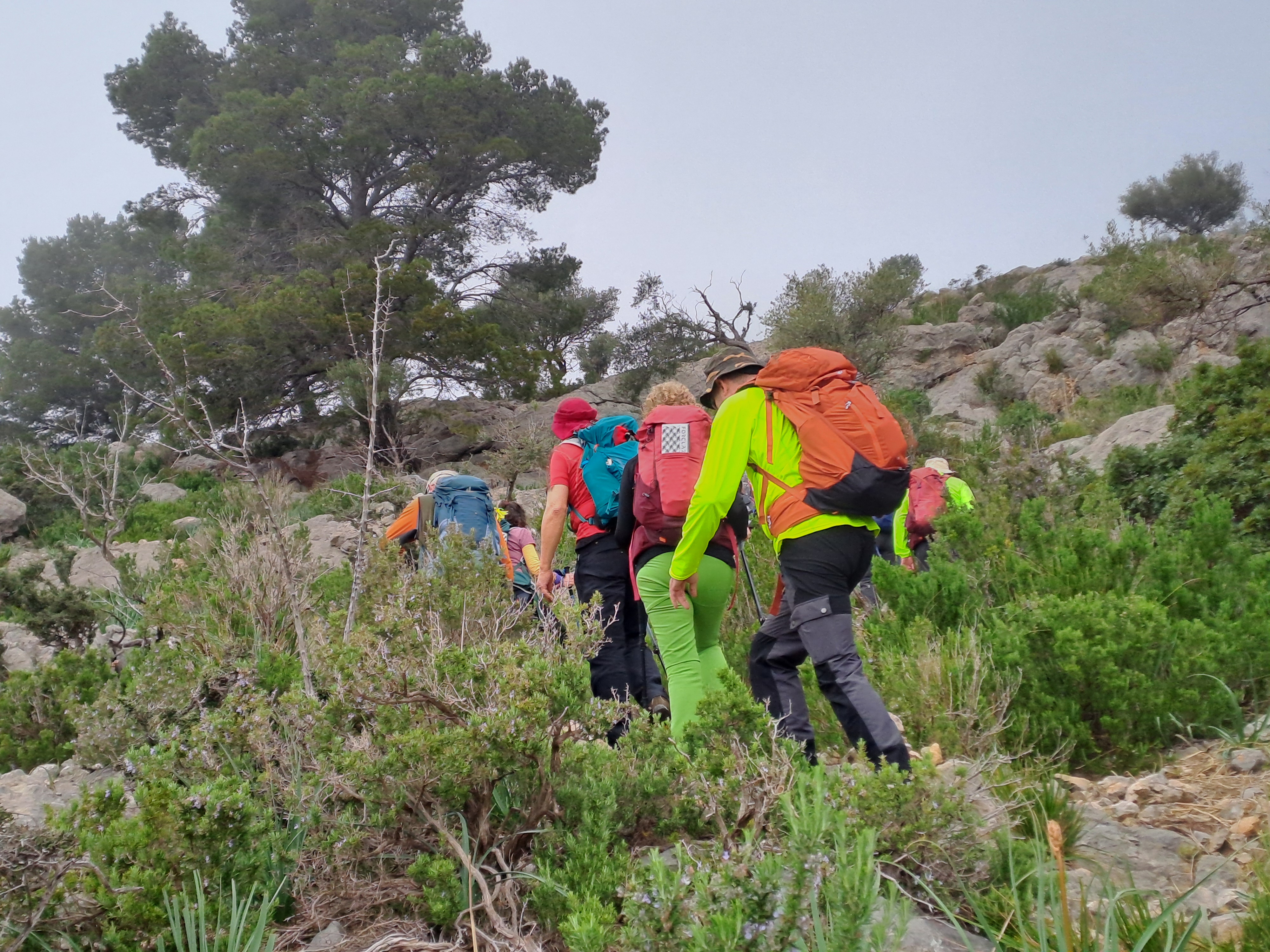 Imatge per al bloc 40