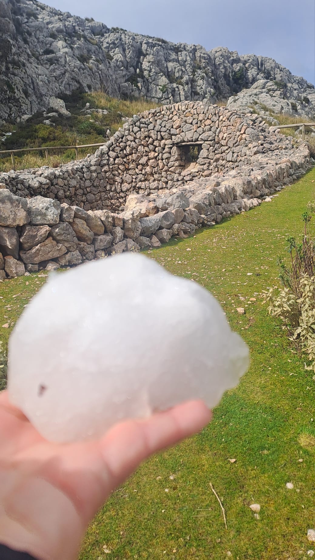 Imatge per al bloc 2