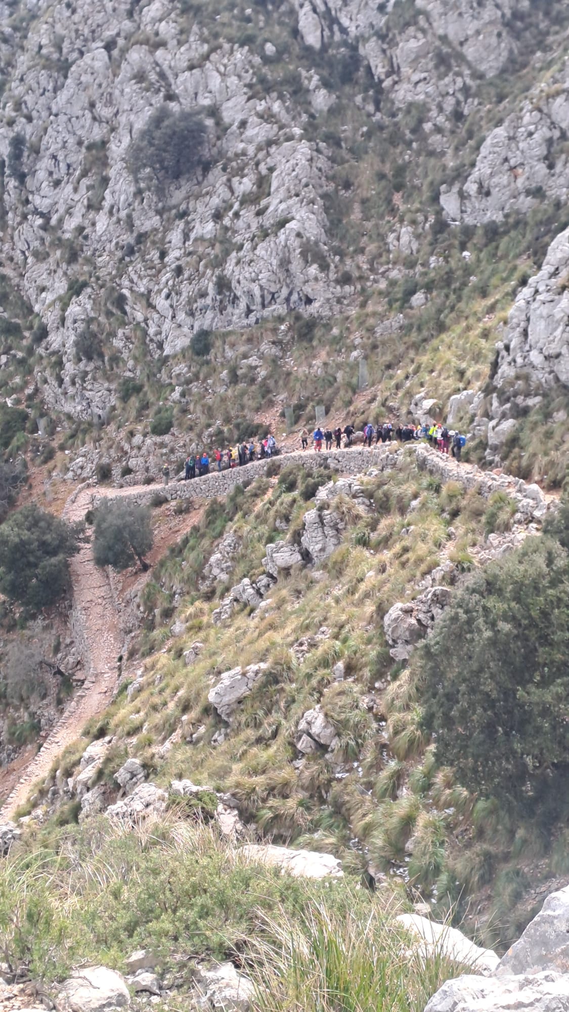 Imatge per al bloc 7