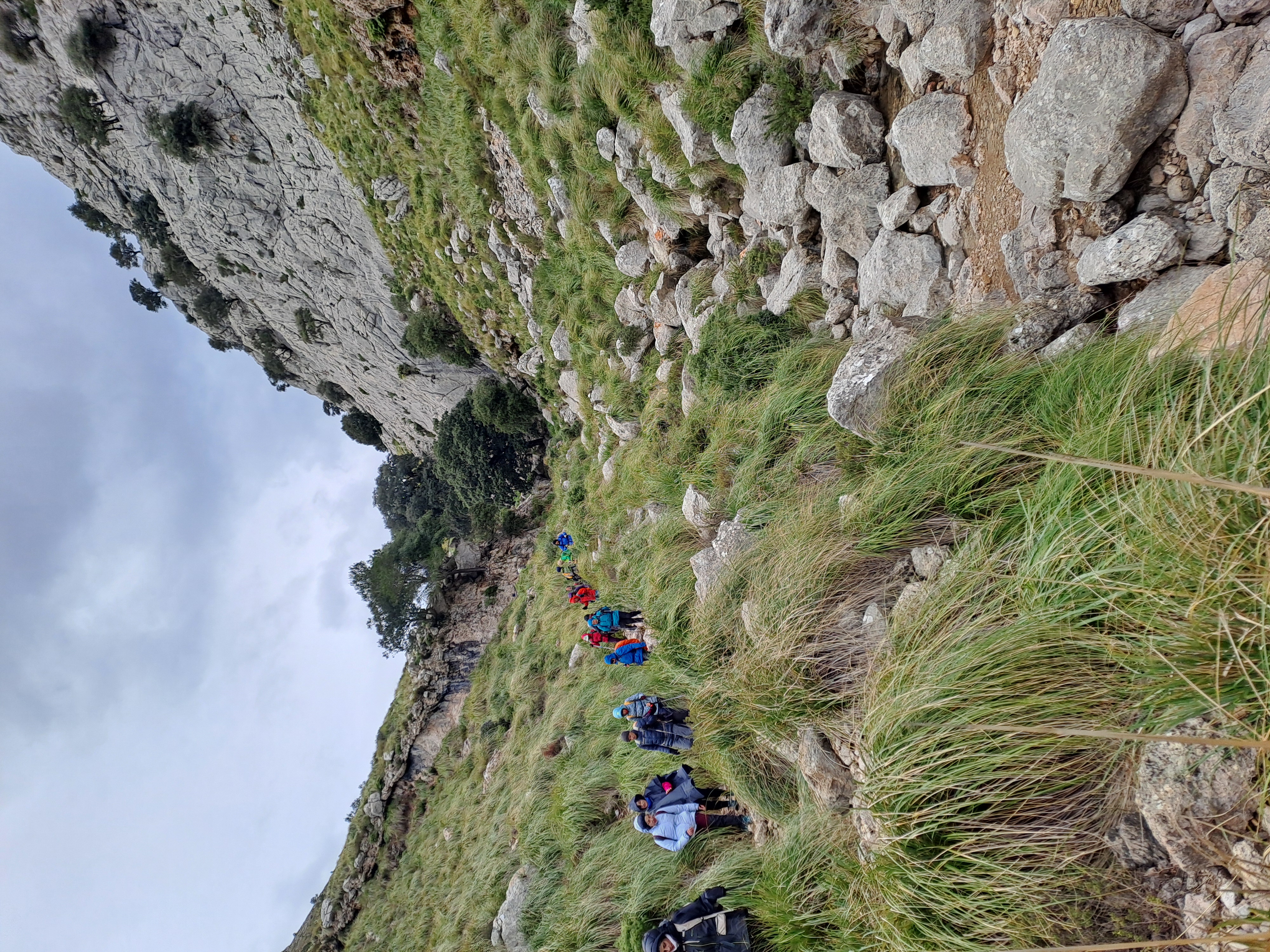 Imatge per al bloc 11