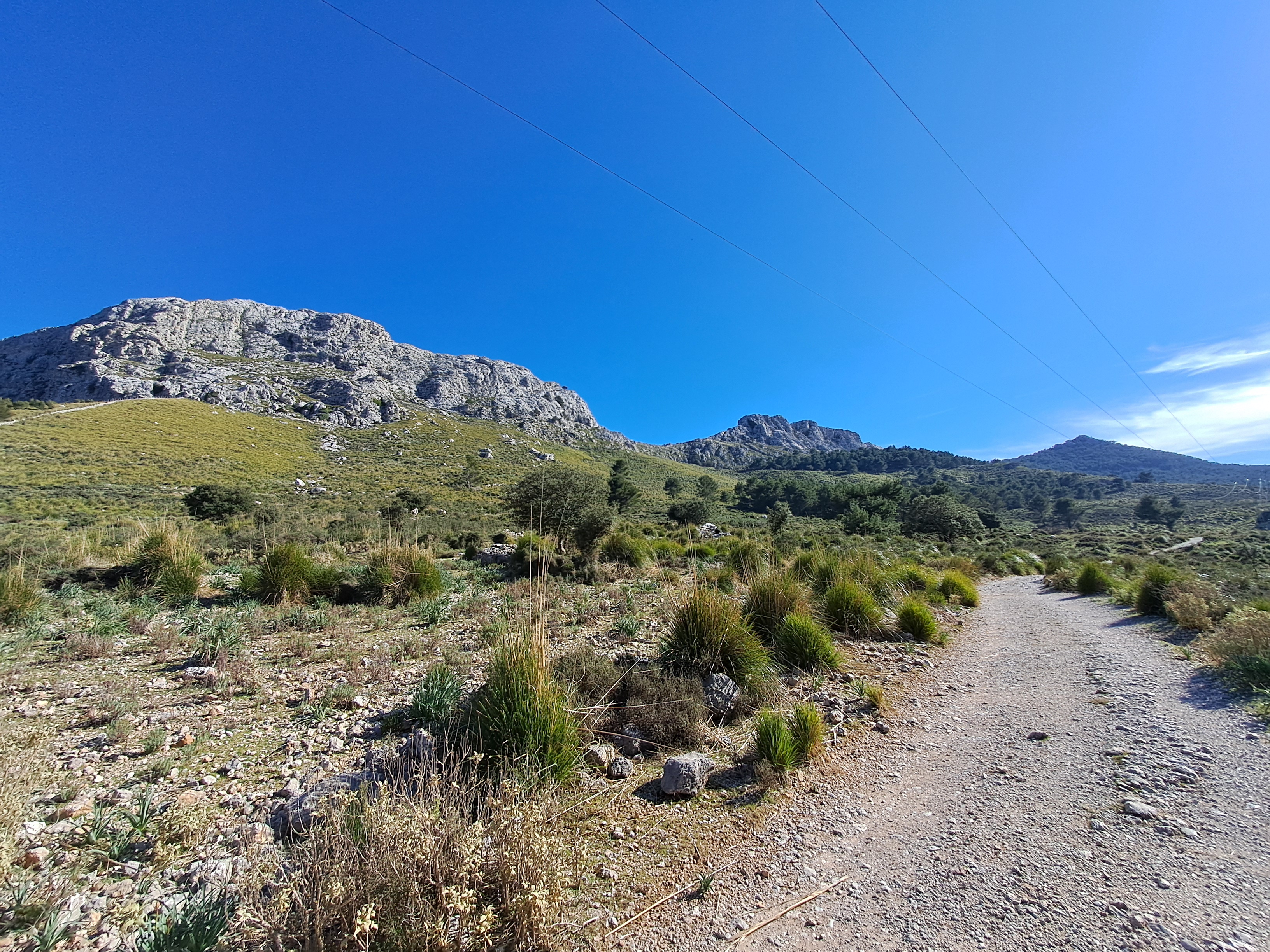 Imatge per al bloc 2