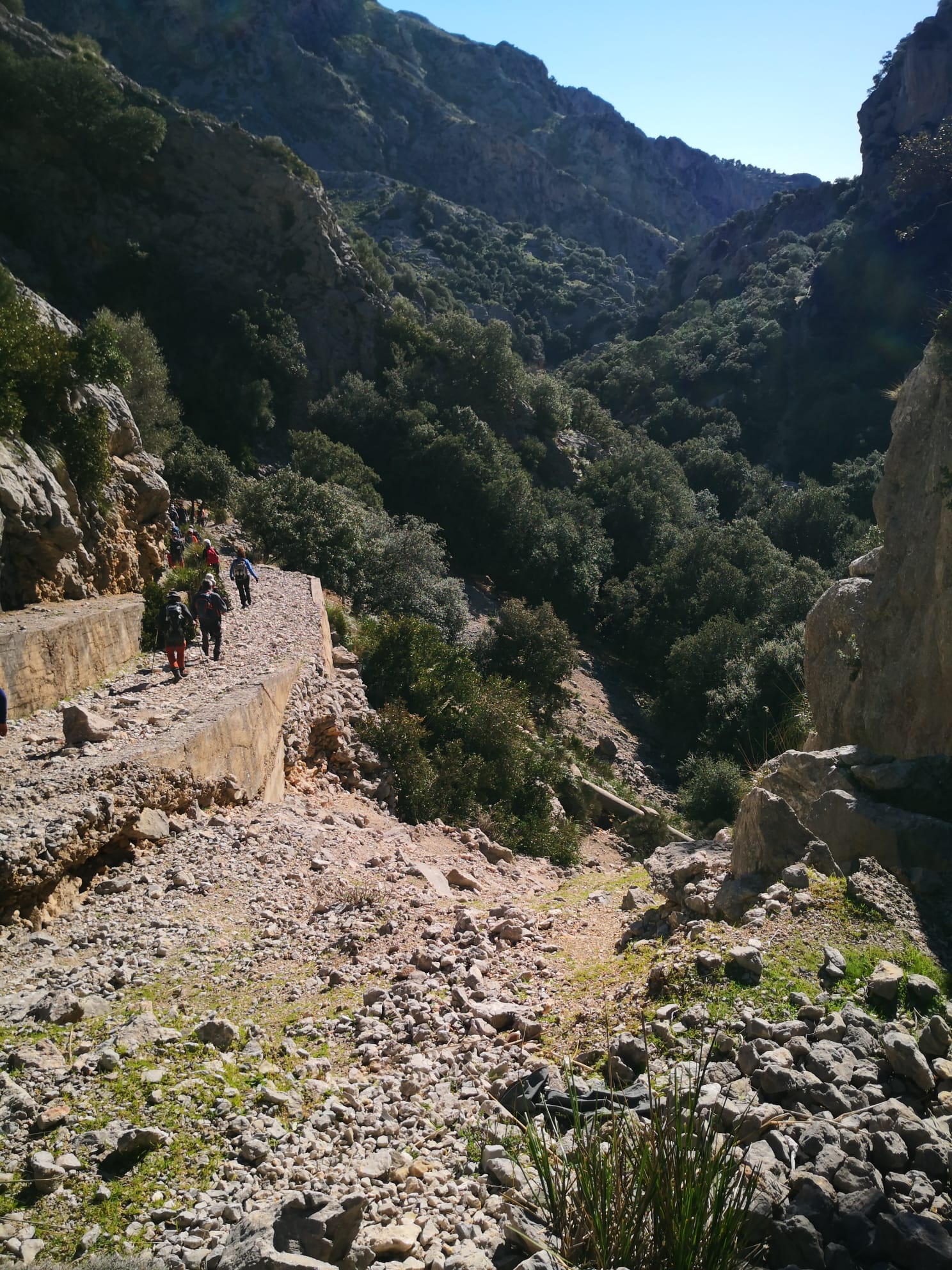 Imatge per al bloc 16