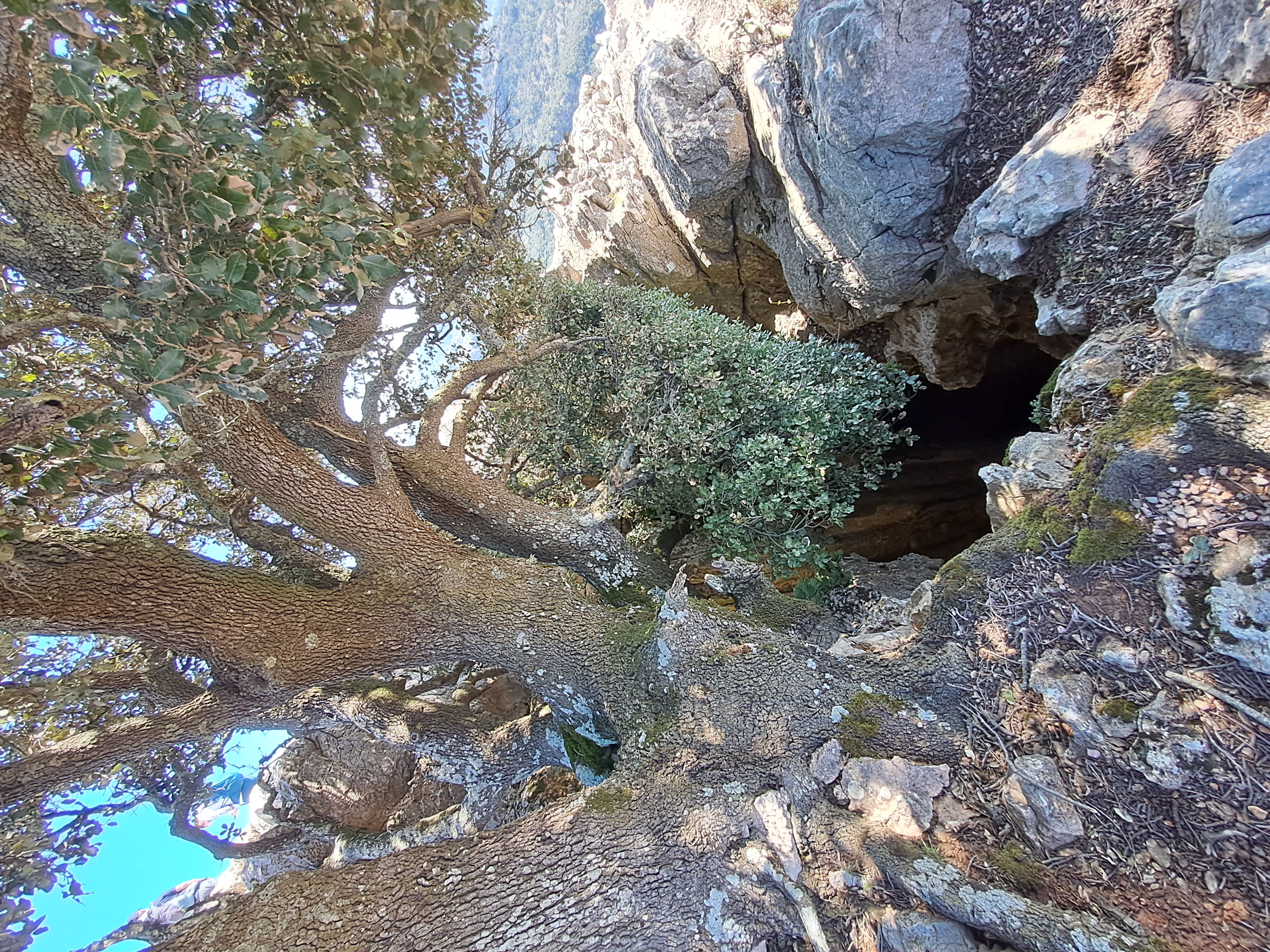 Imatge per al bloc 17