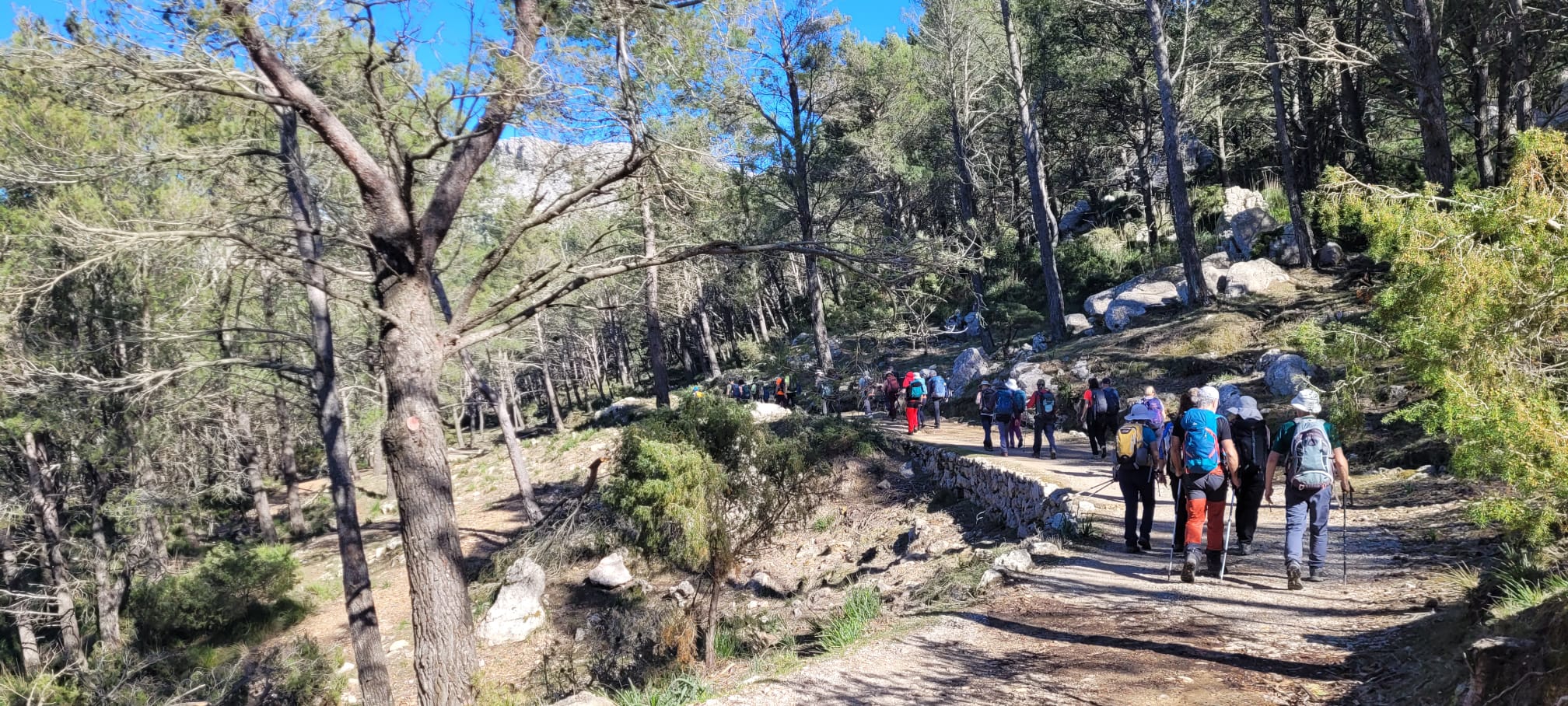 Imatge per al bloc 20