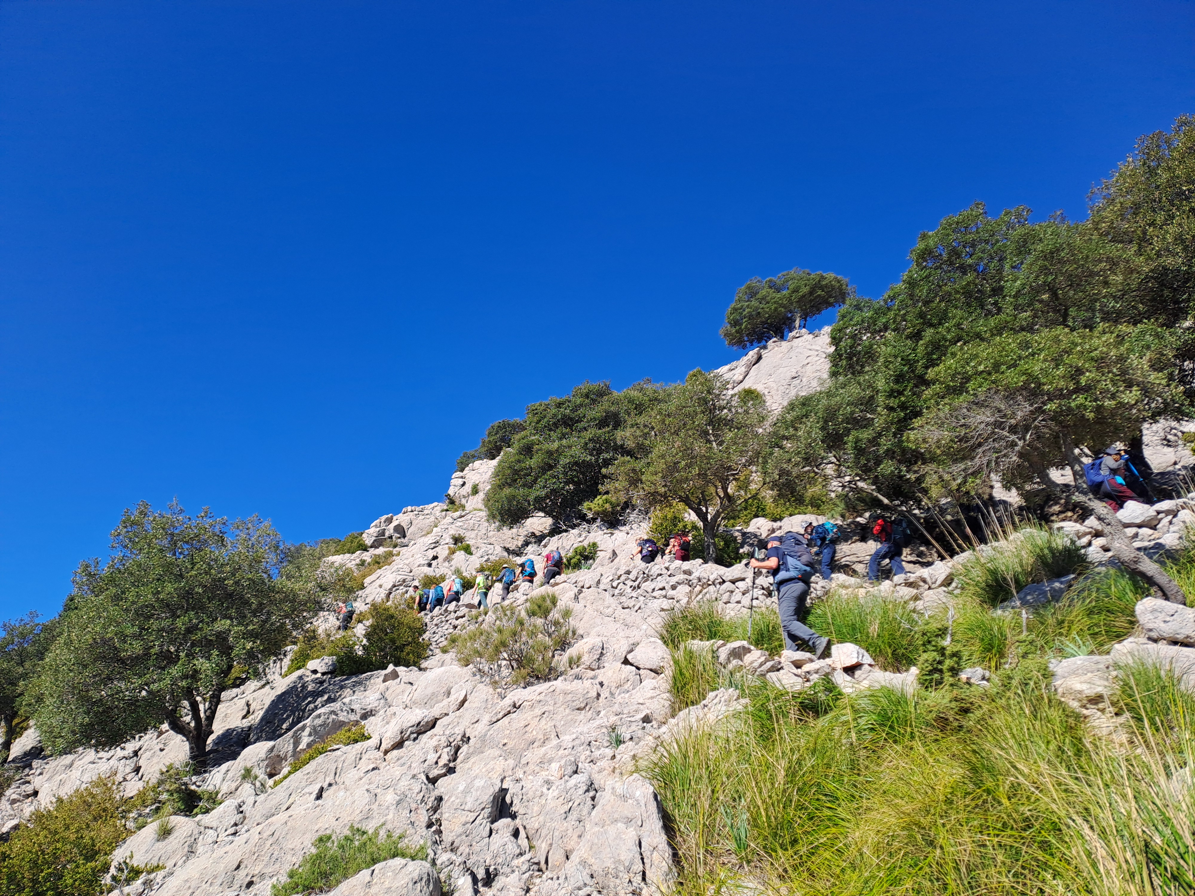 Imatge per al bloc 6