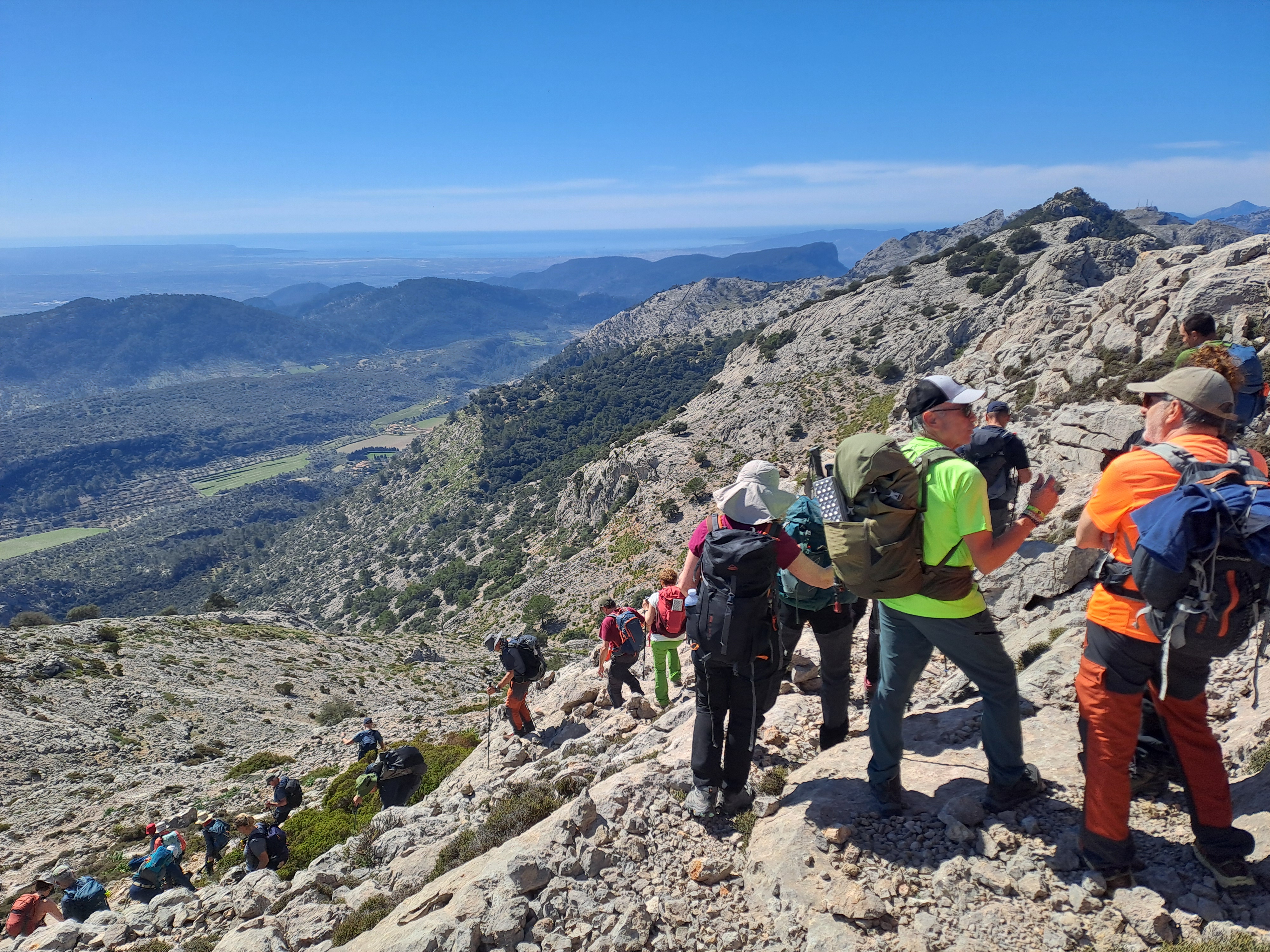 Imatge per al bloc 11