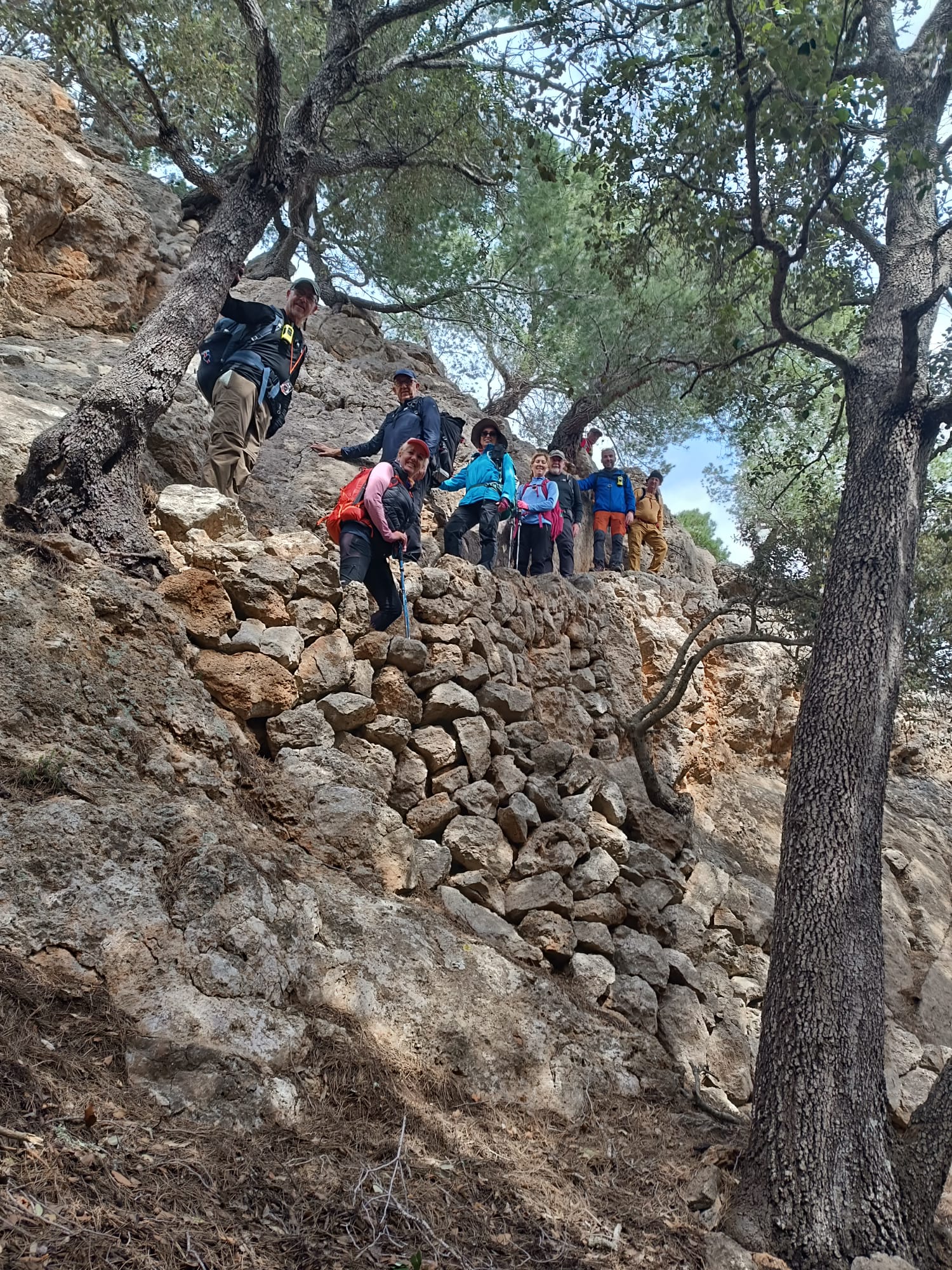 Imatge per al bloc 21