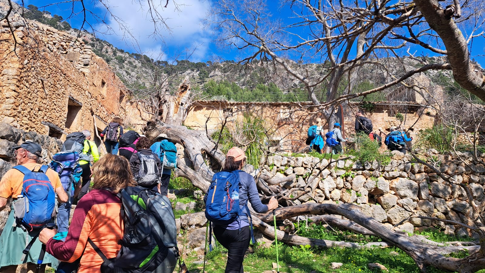 Imatge per al bloc 10