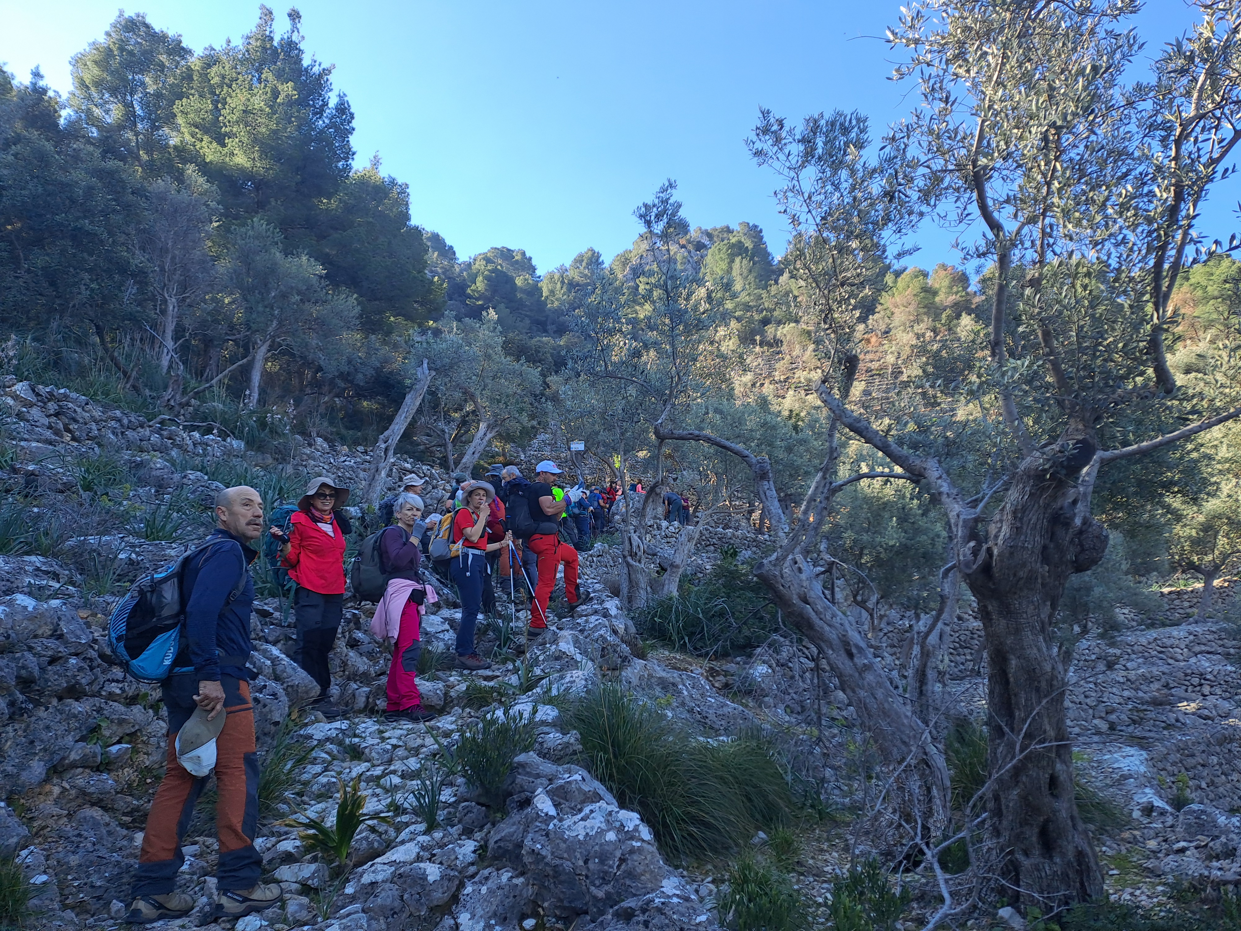 Imatge per al bloc 7