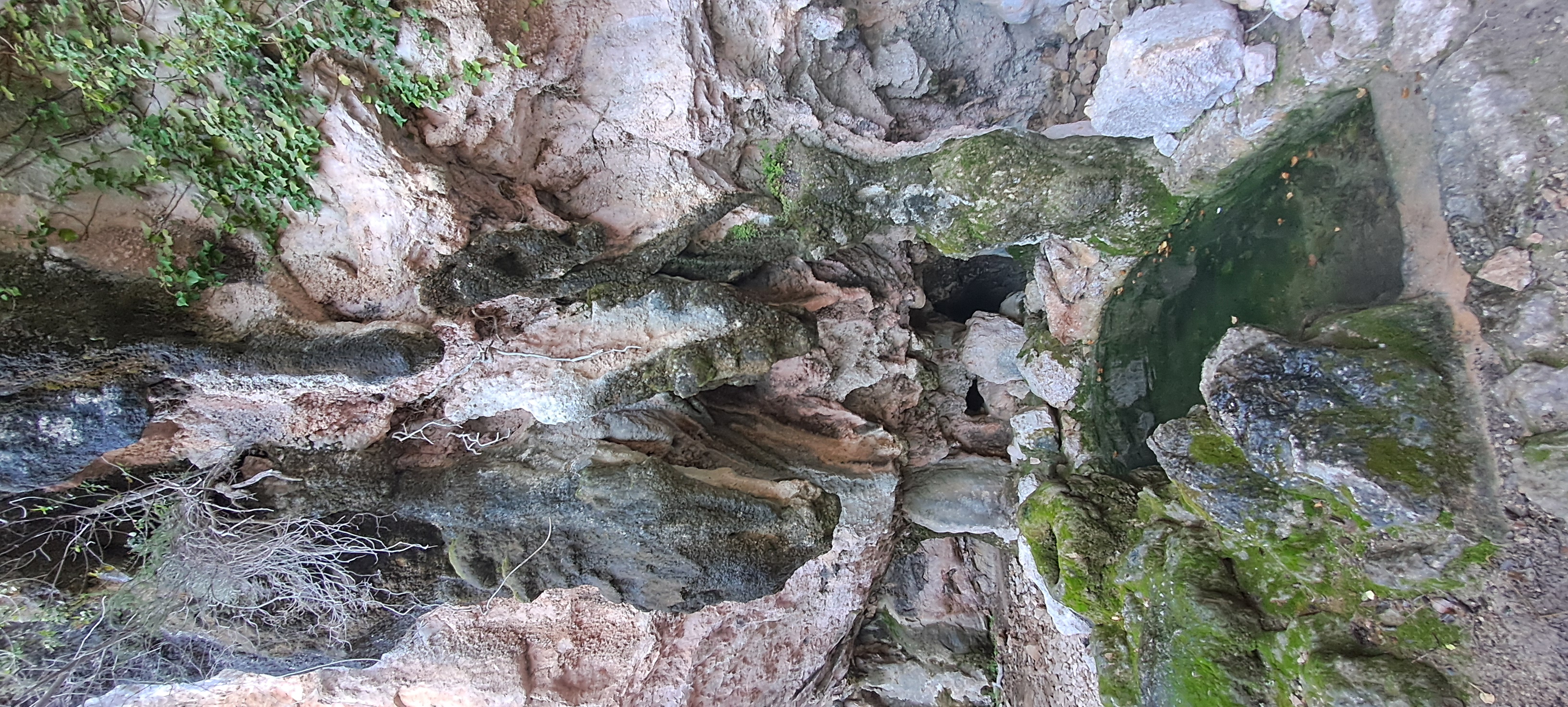 Imatge per al bloc 11