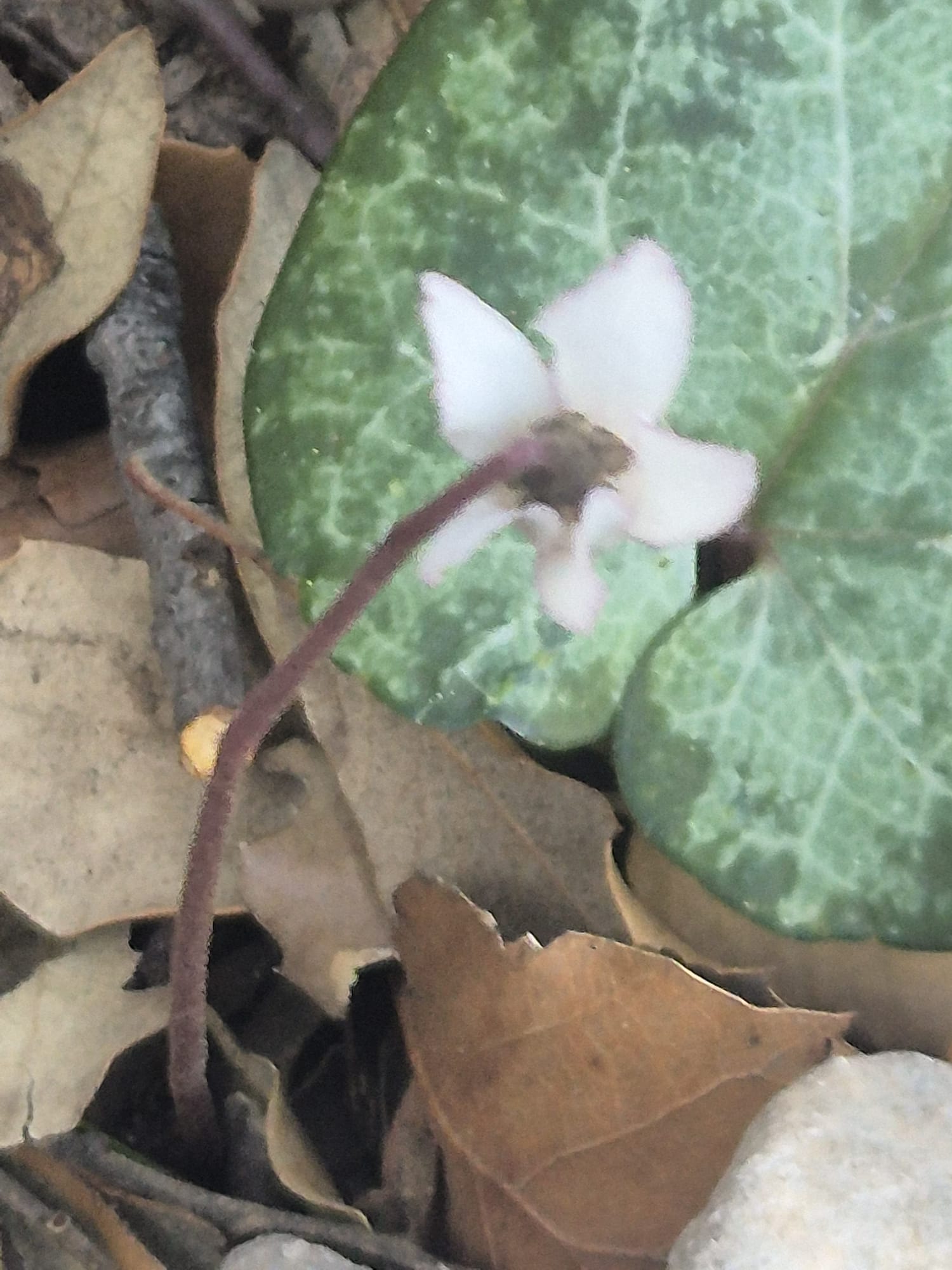 Imatge per al bloc 12