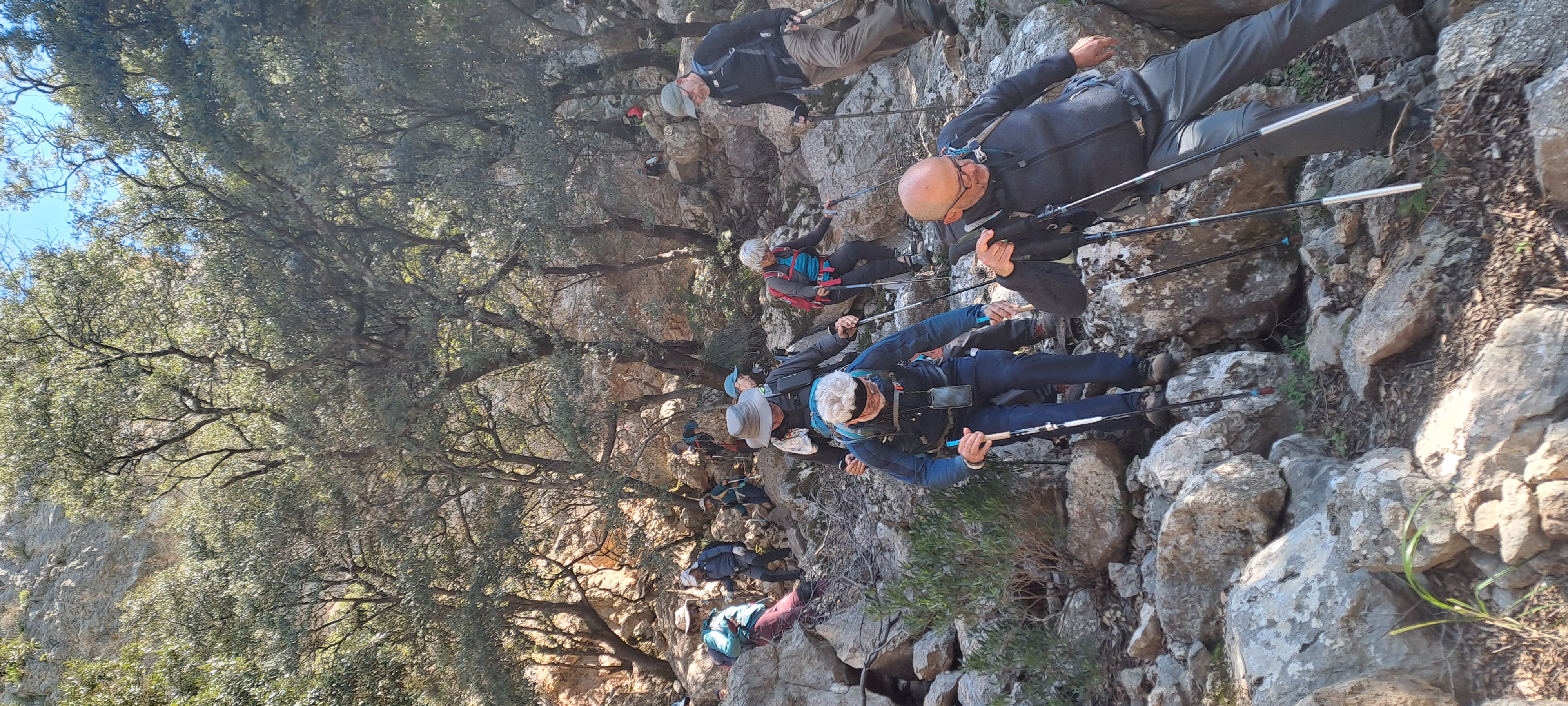 Imatge per al bloc 13