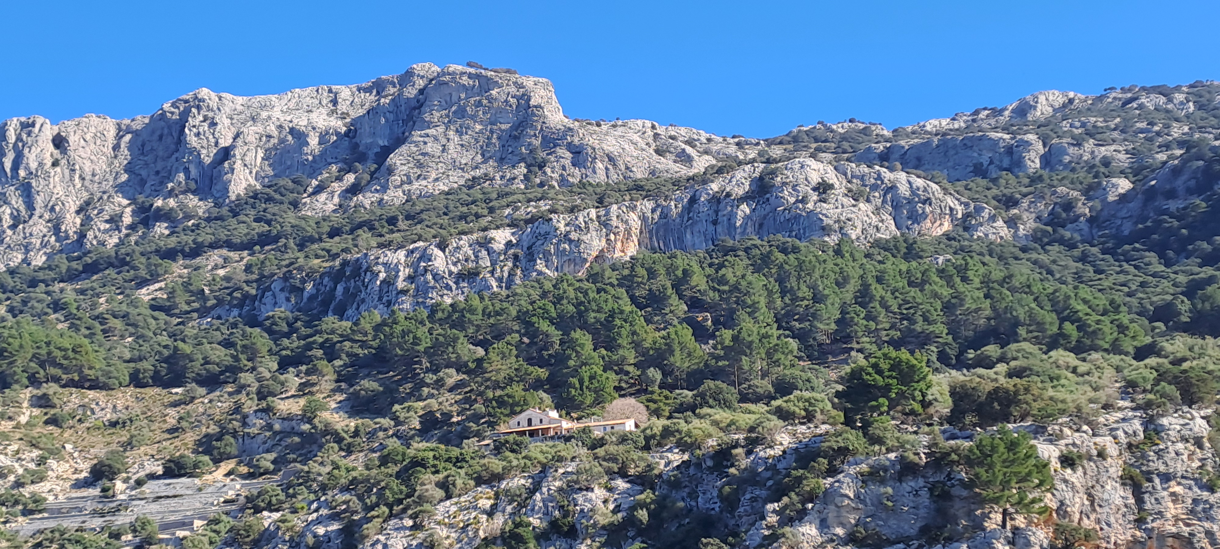 Imatge per al bloc 15