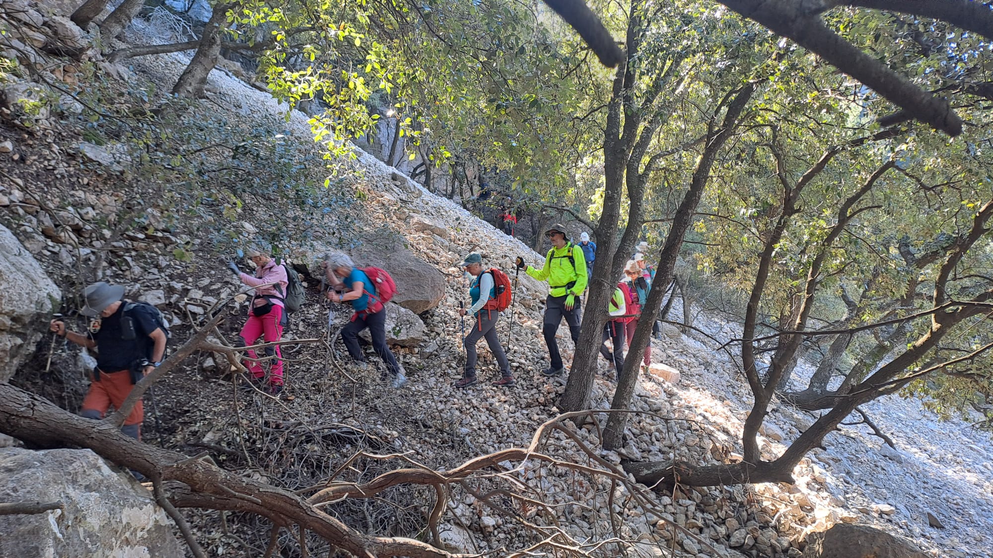 Imatge per al bloc 16