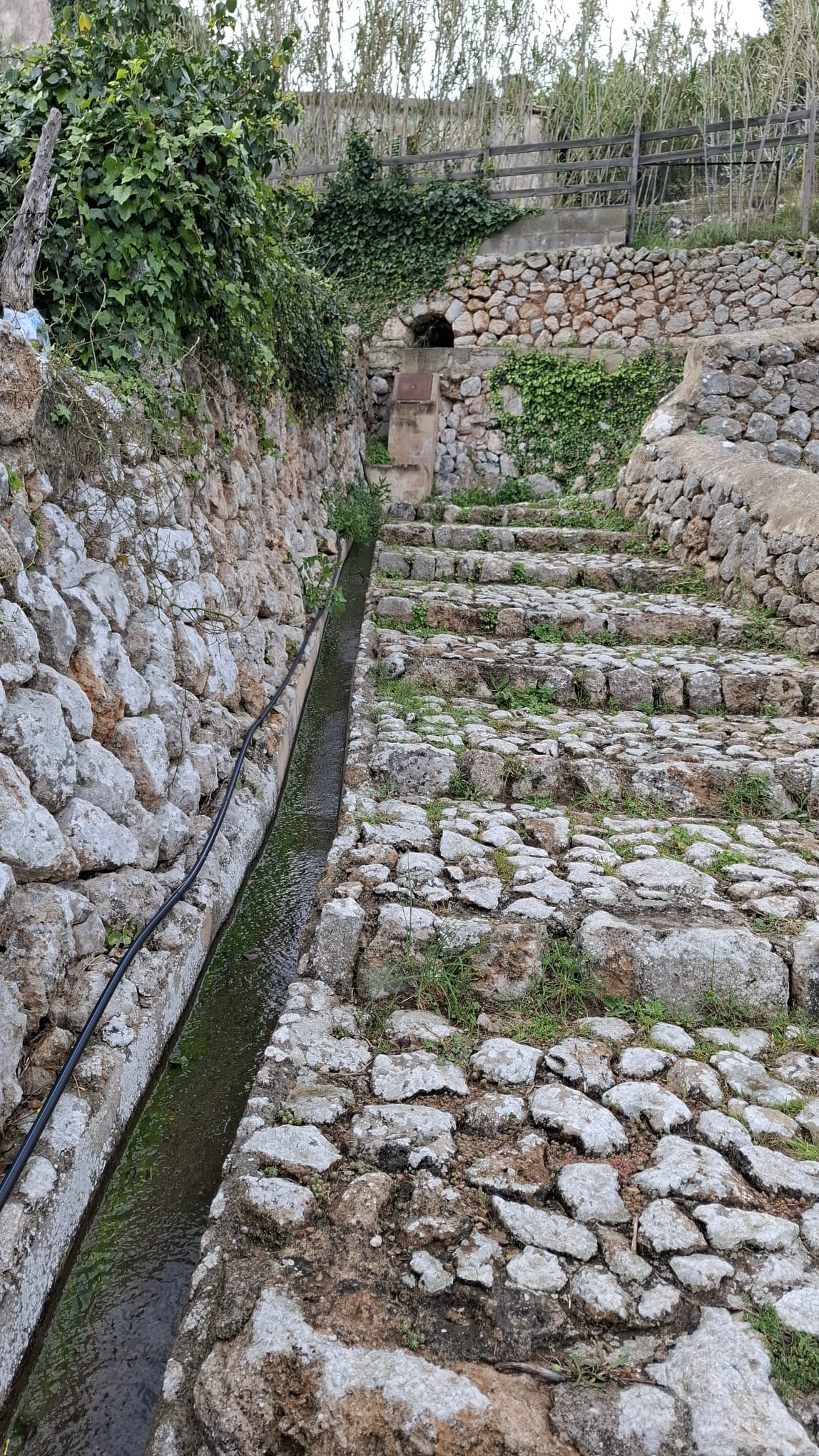 Imatge per al bloc 6