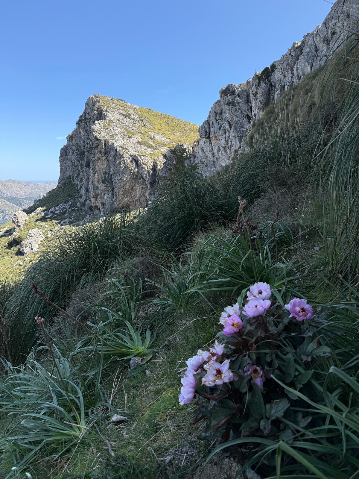 Imatge per al bloc 3