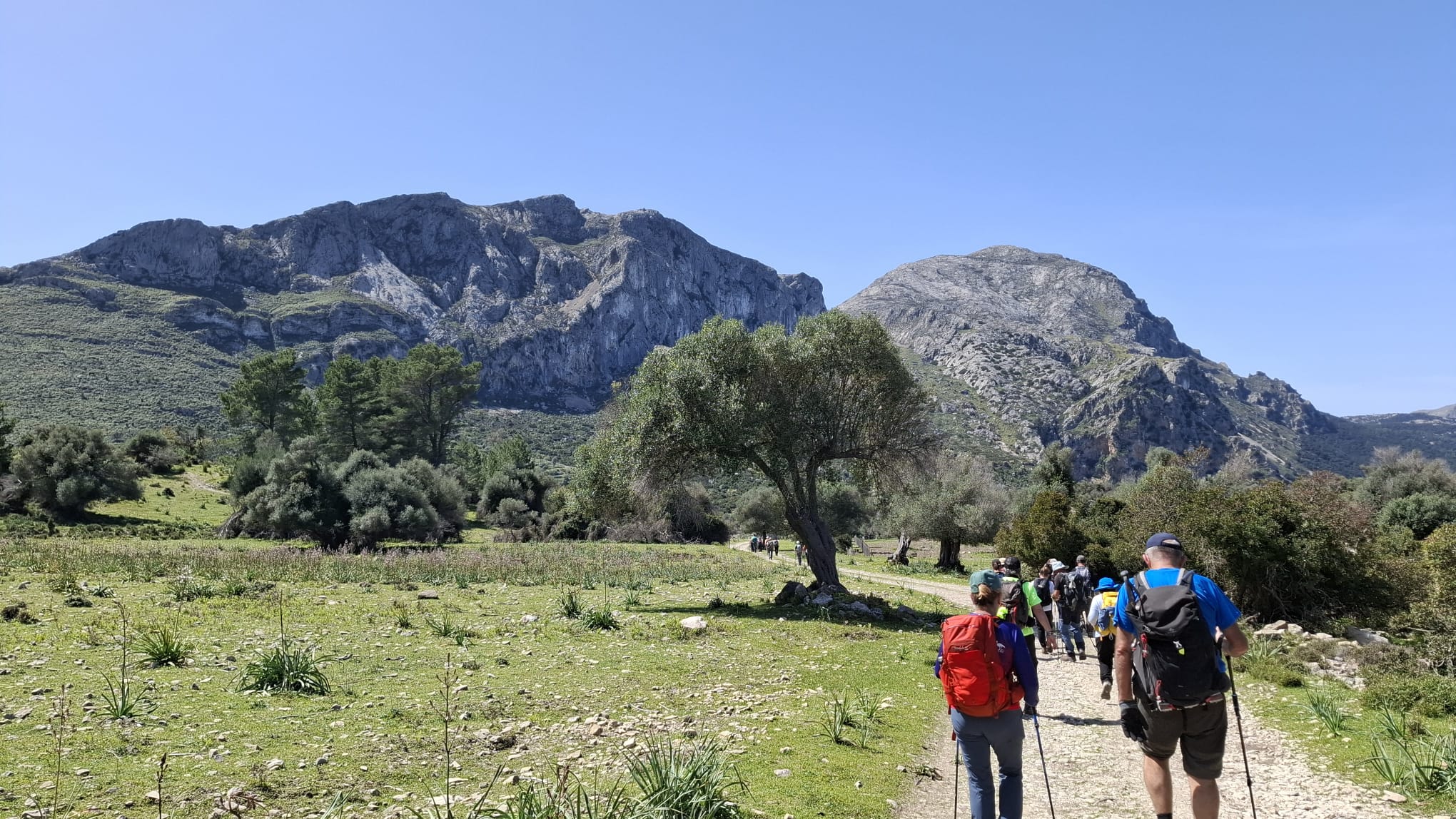 Imatge per al bloc 24