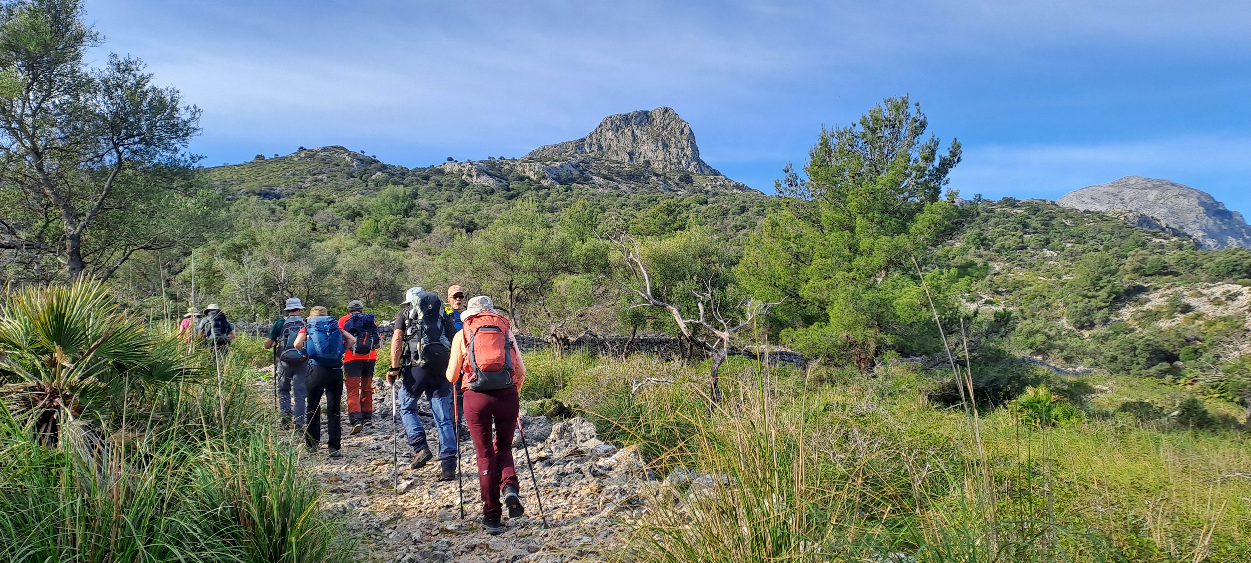 Imatge per al bloc 21