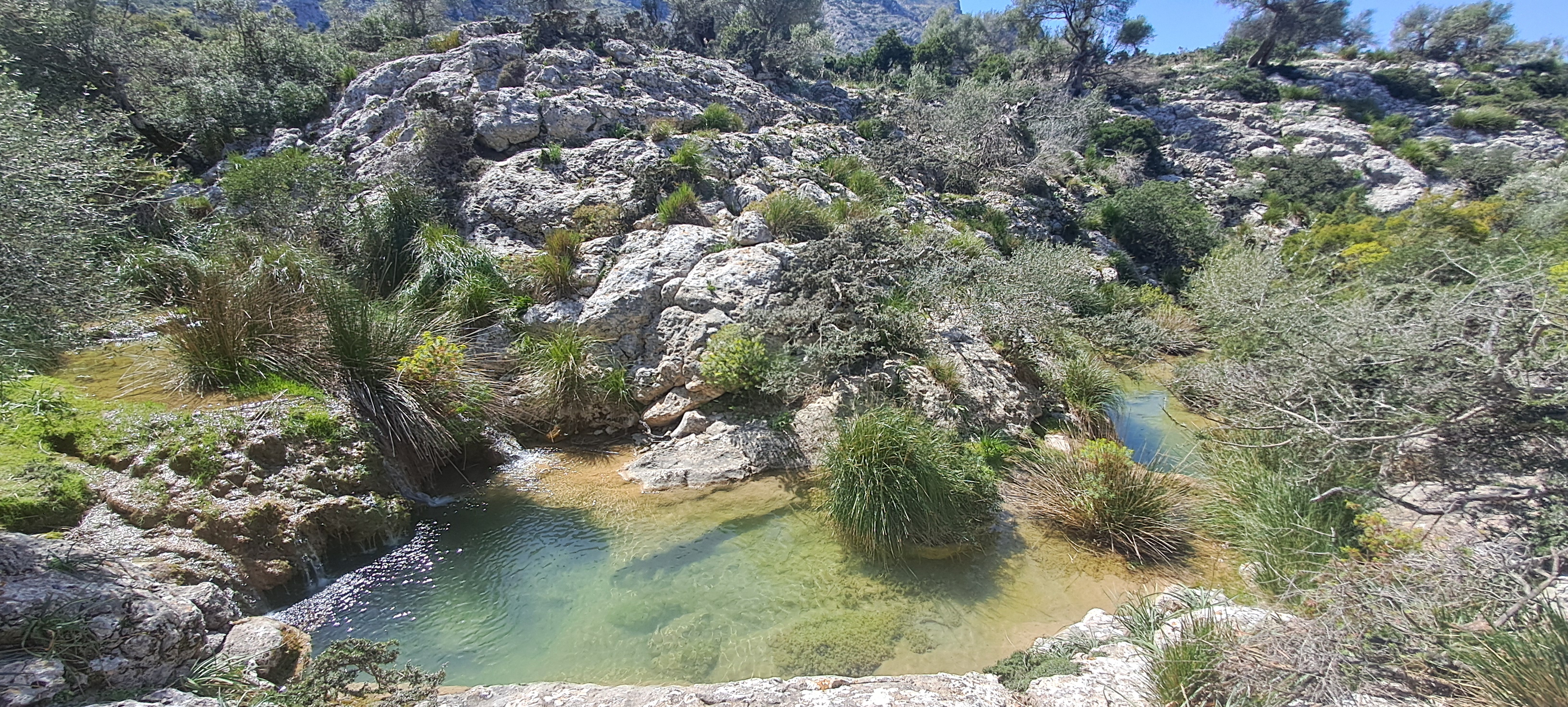 Imatge per al bloc 25