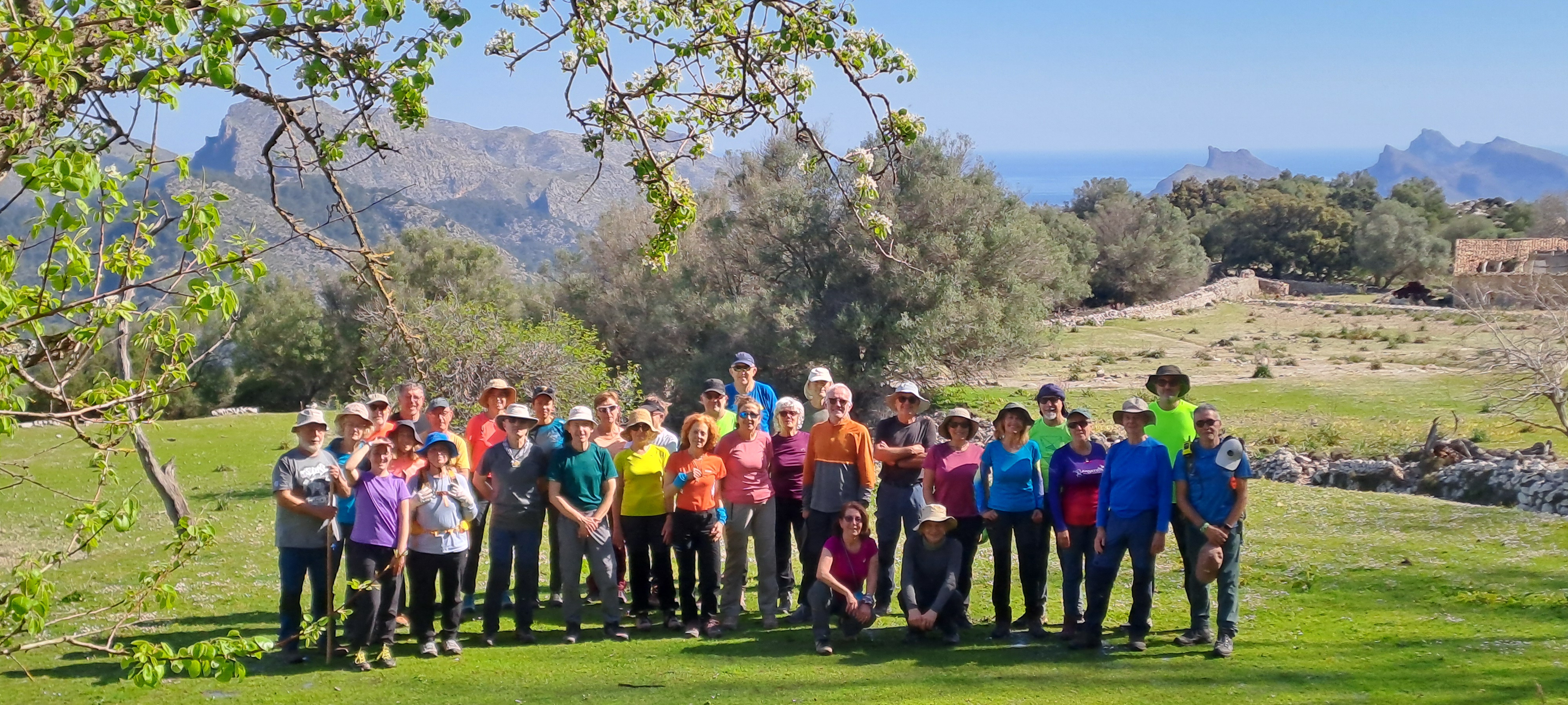 Imatge per al bloc 11