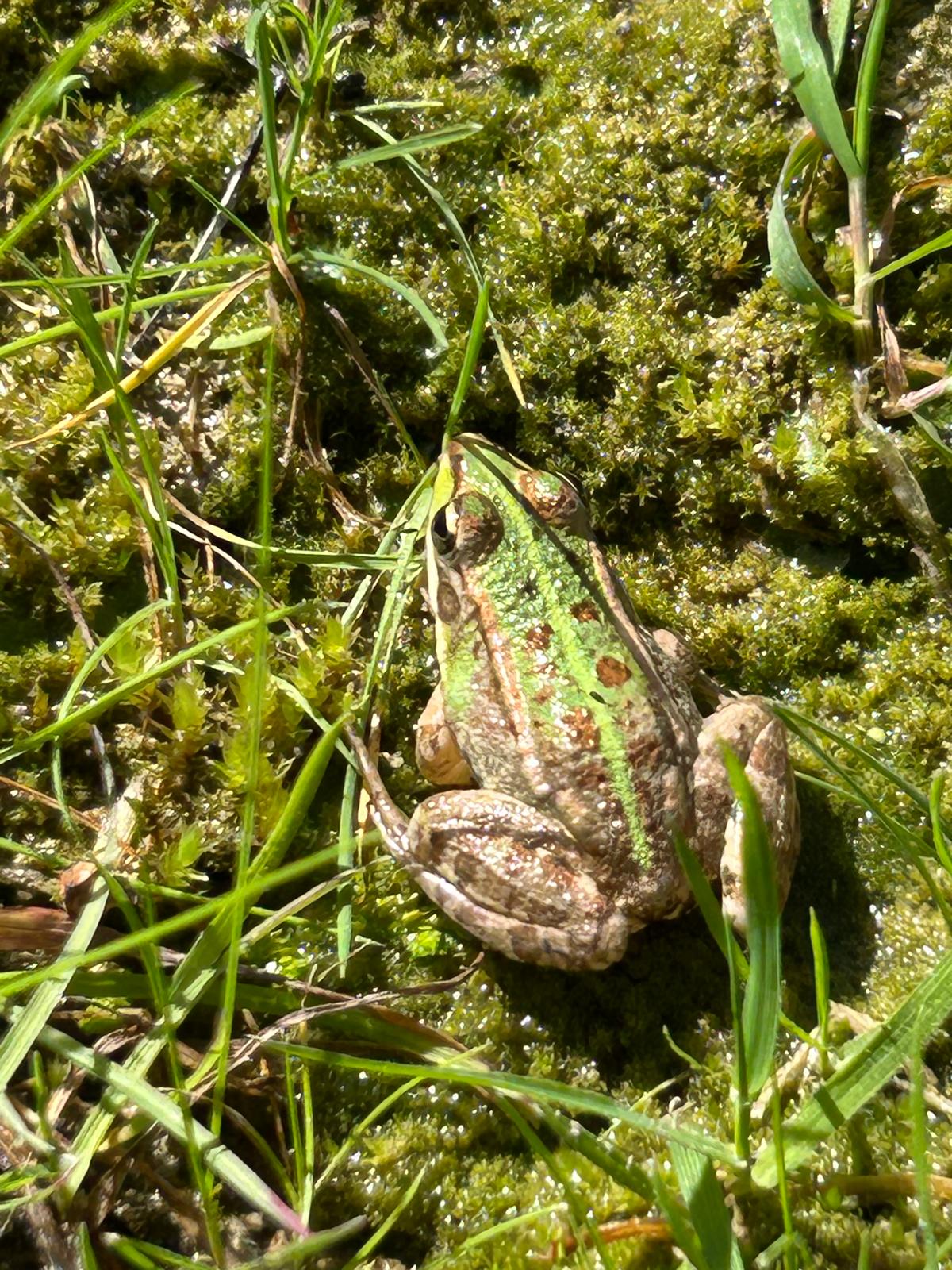 Imatge per al bloc 26