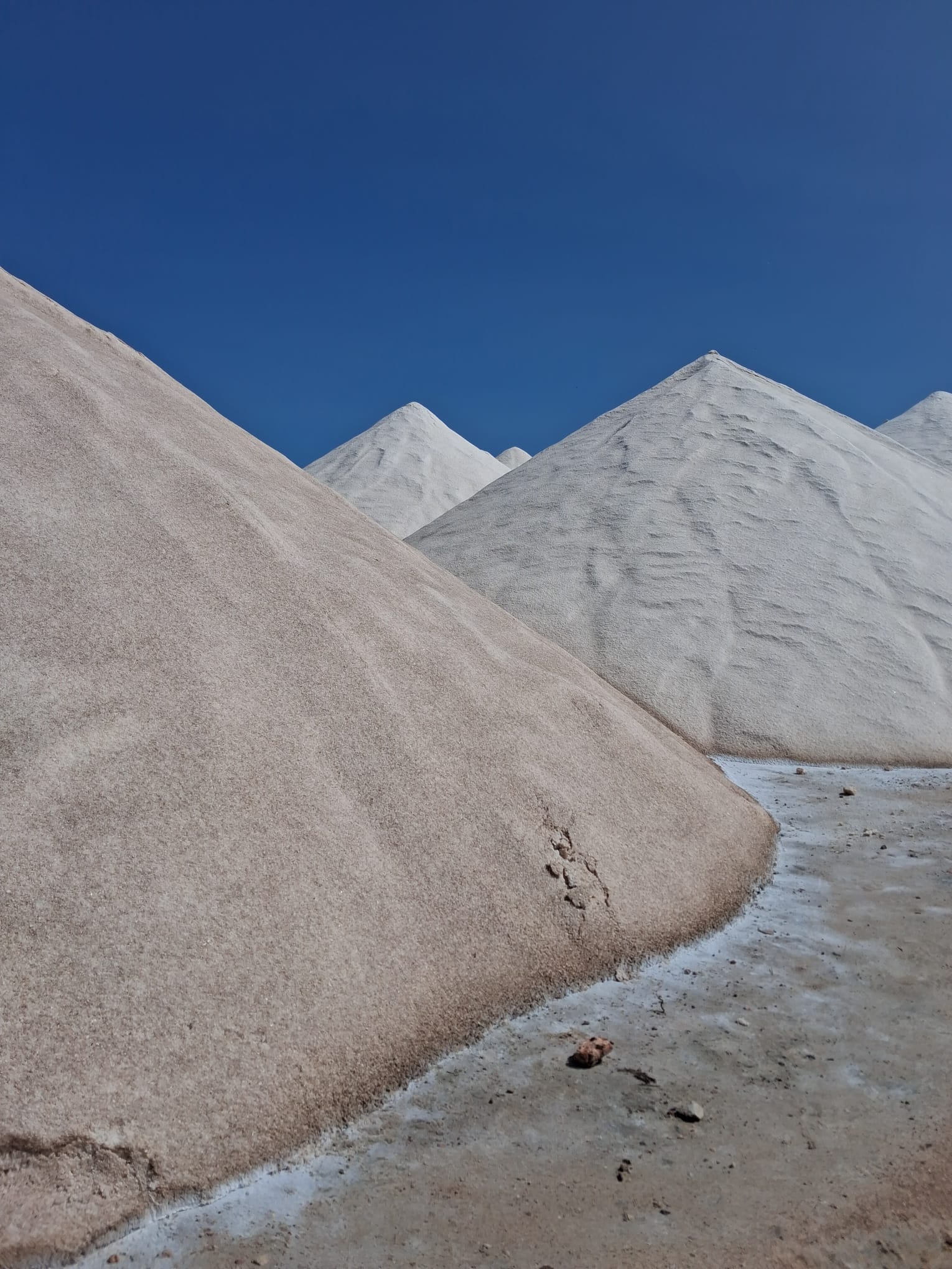 Imatge per al bloc 7