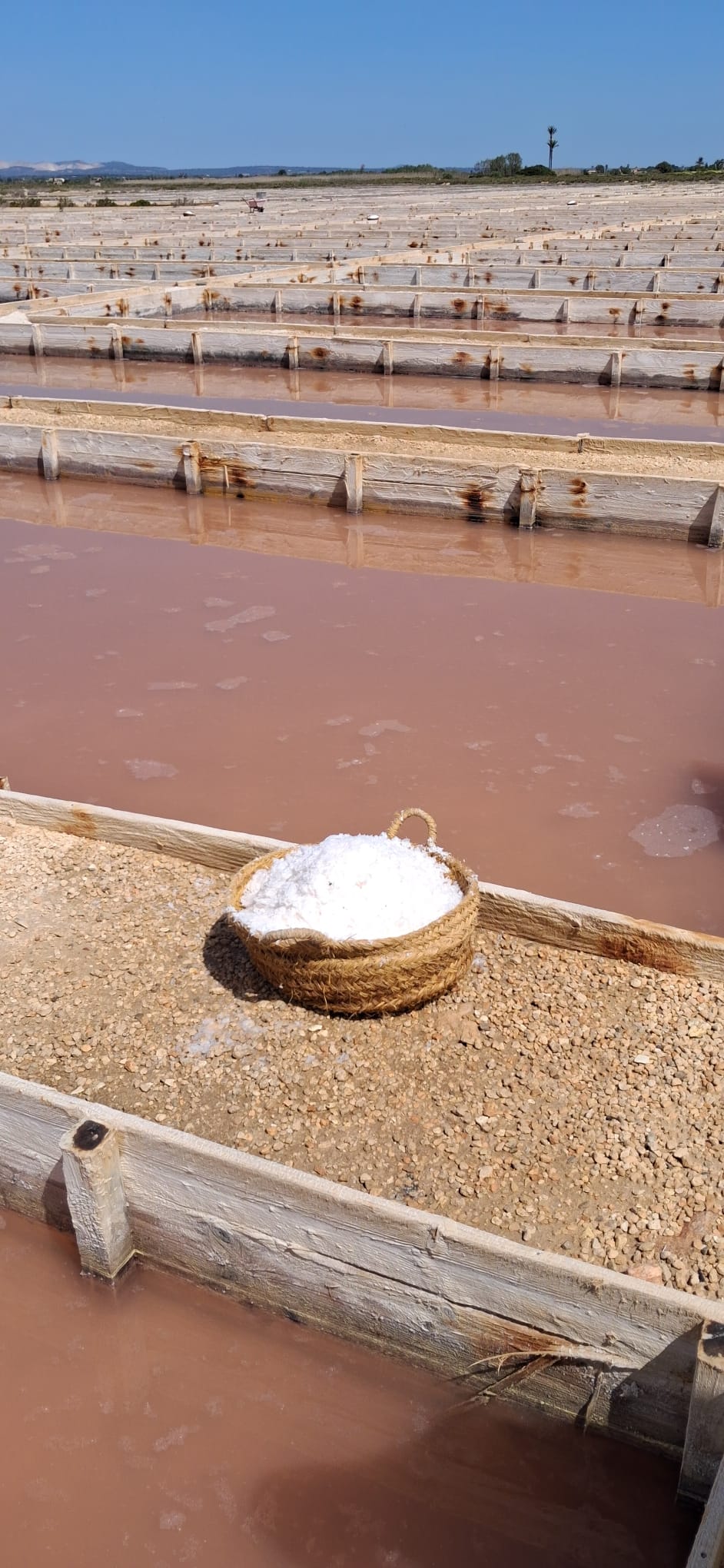 Imatge per al bloc 12