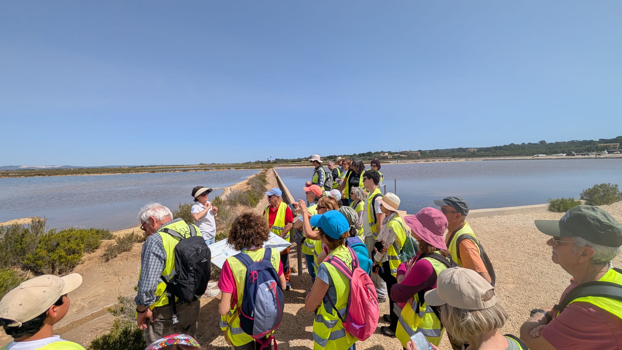 Imatge per al bloc 14