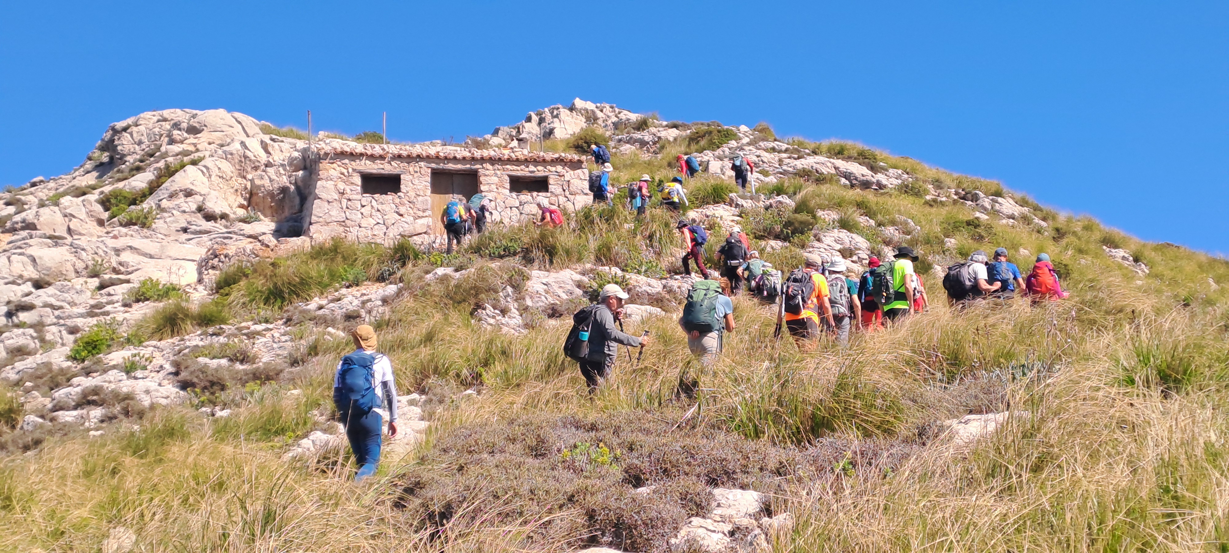 Imatge per al bloc 10