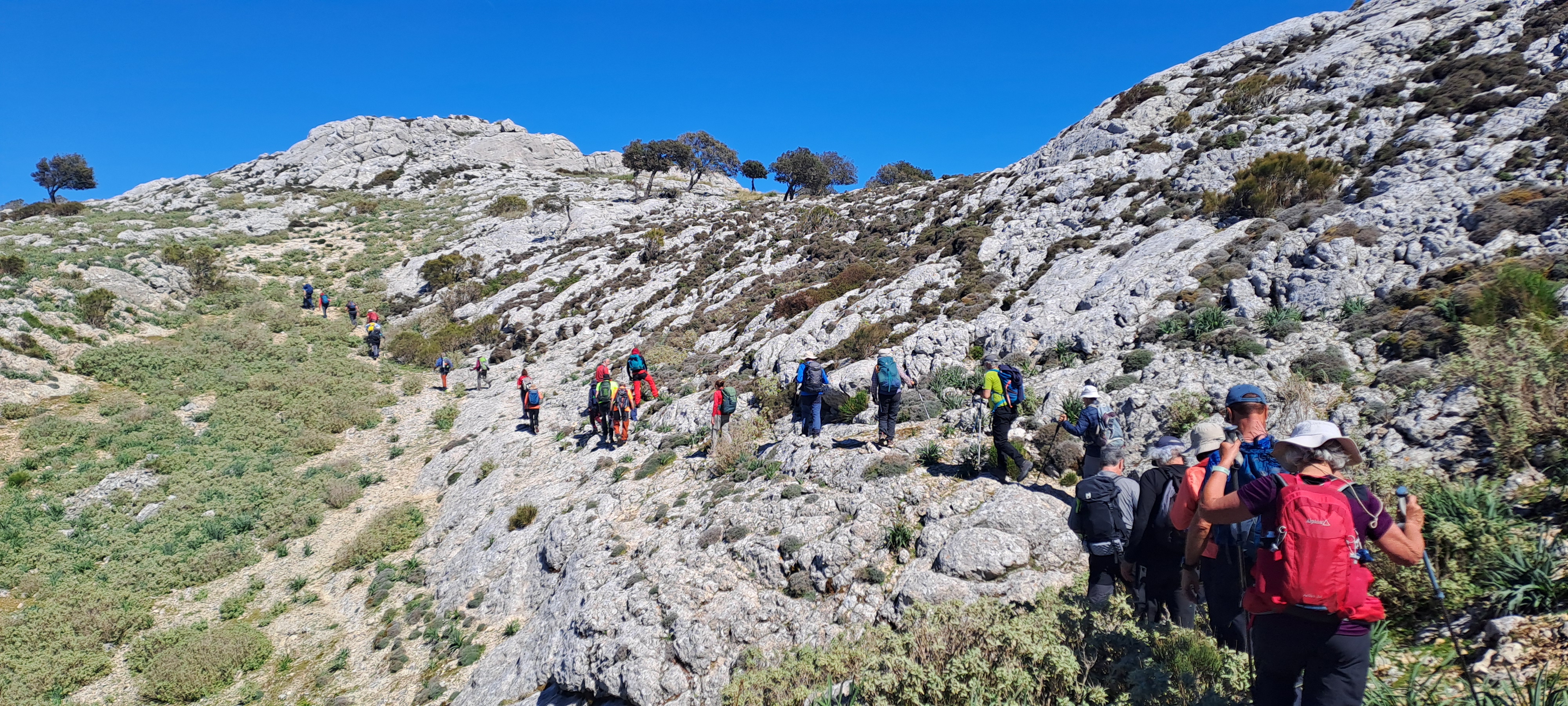 Imatge per al bloc 12