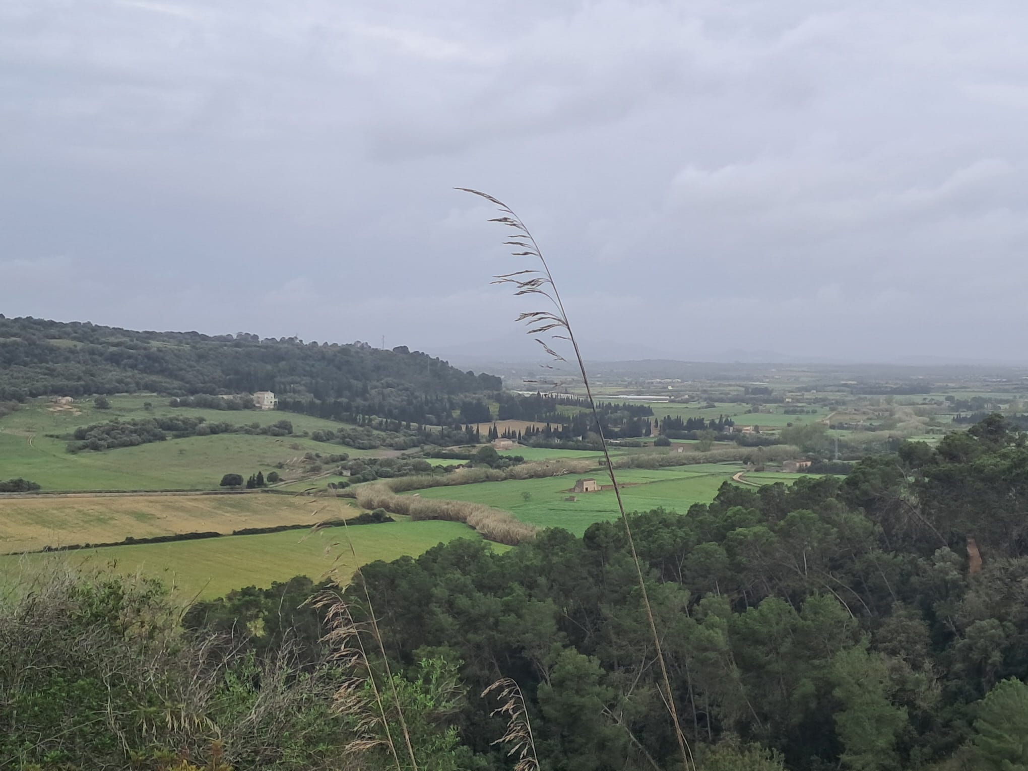 Imatge per al bloc 2