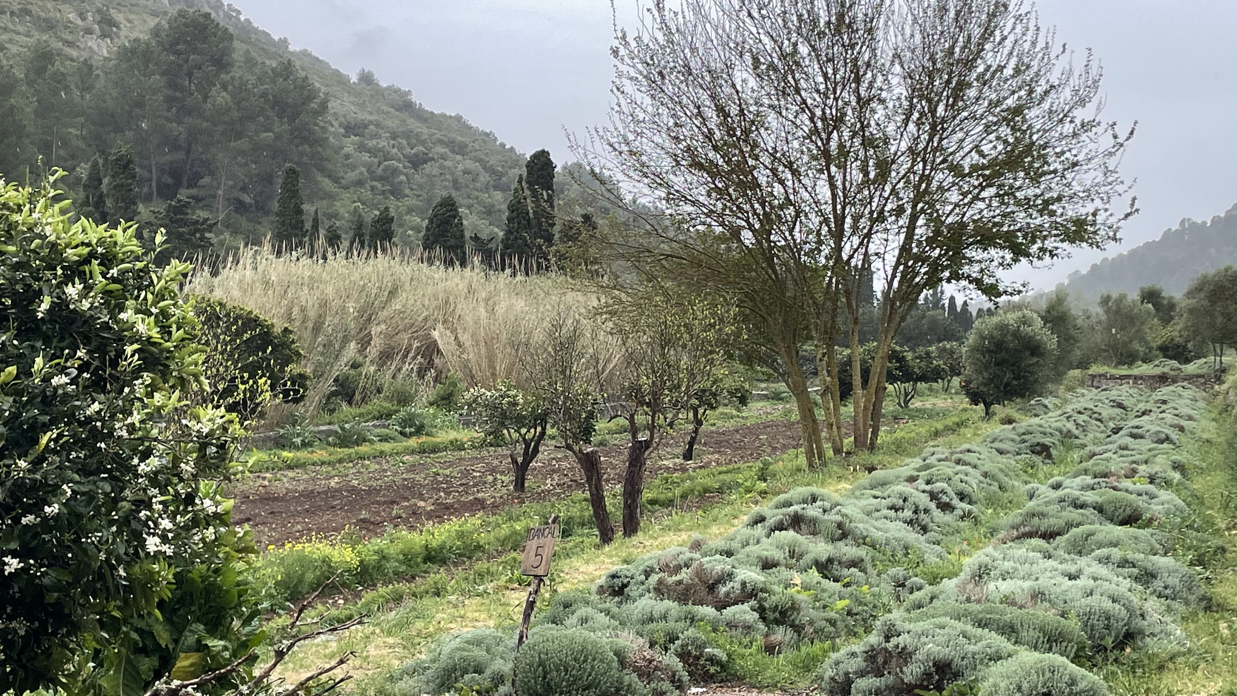 Imatge per al bloc 3