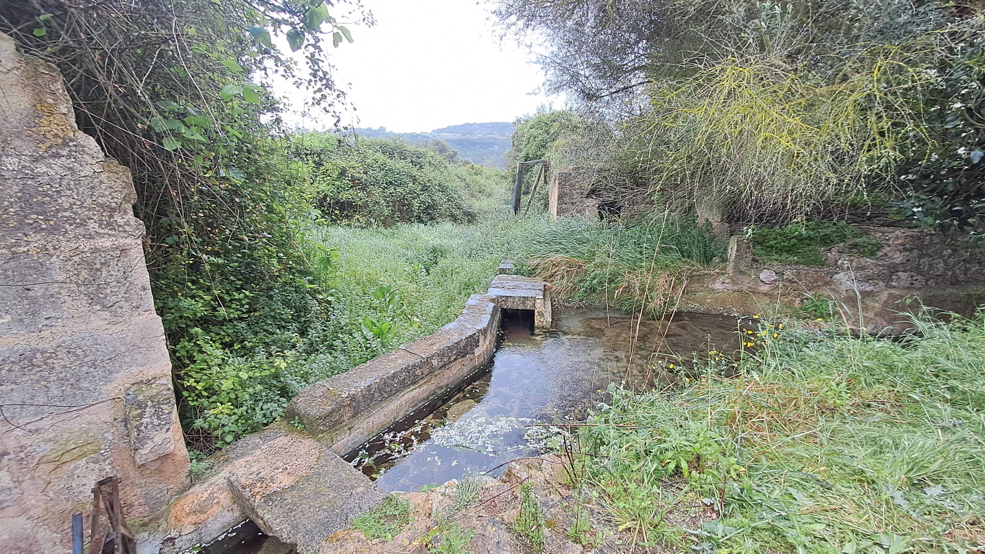 Imatge per al bloc 12