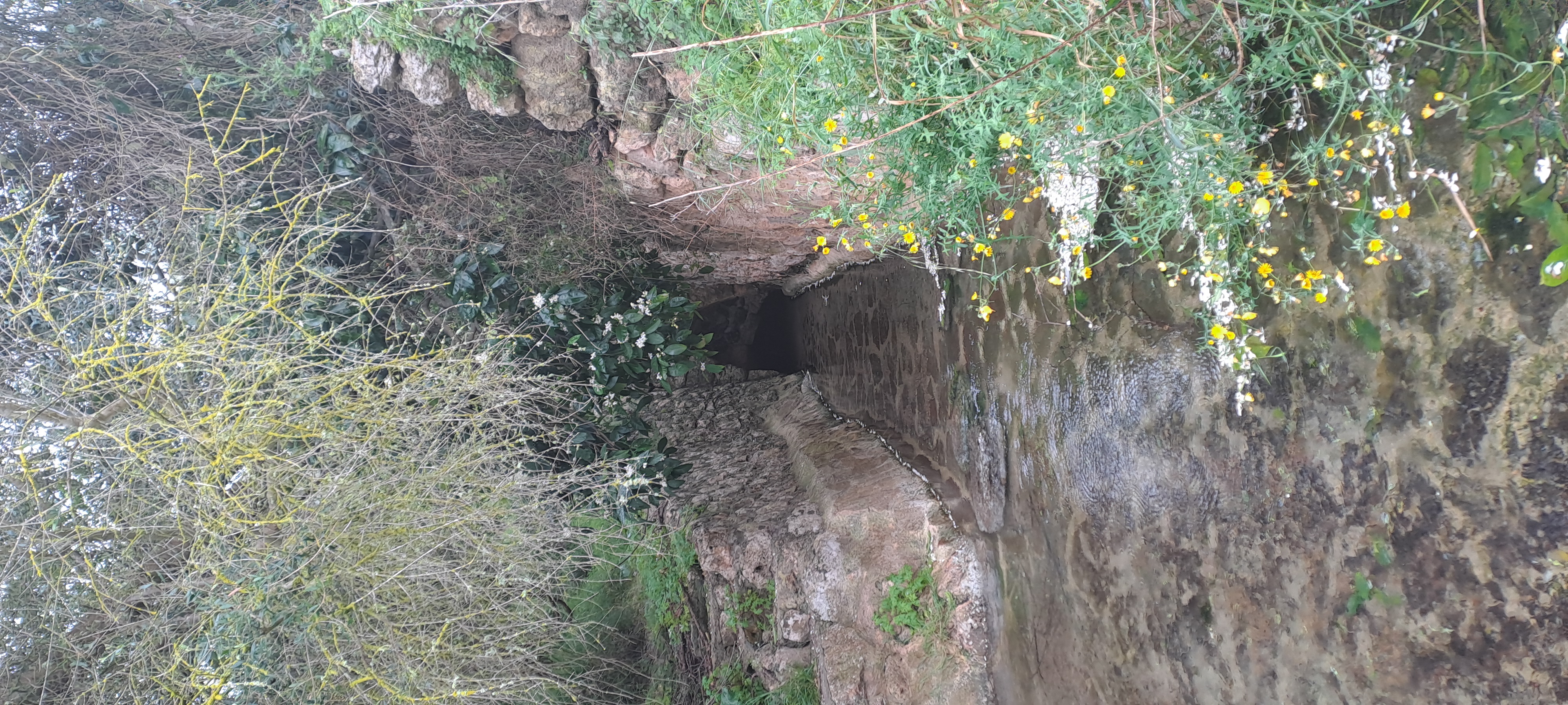 Imatge per al bloc 14