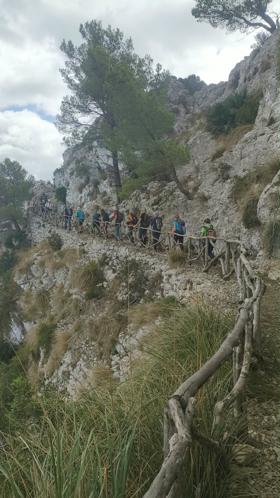 Imatge per al bloc 5